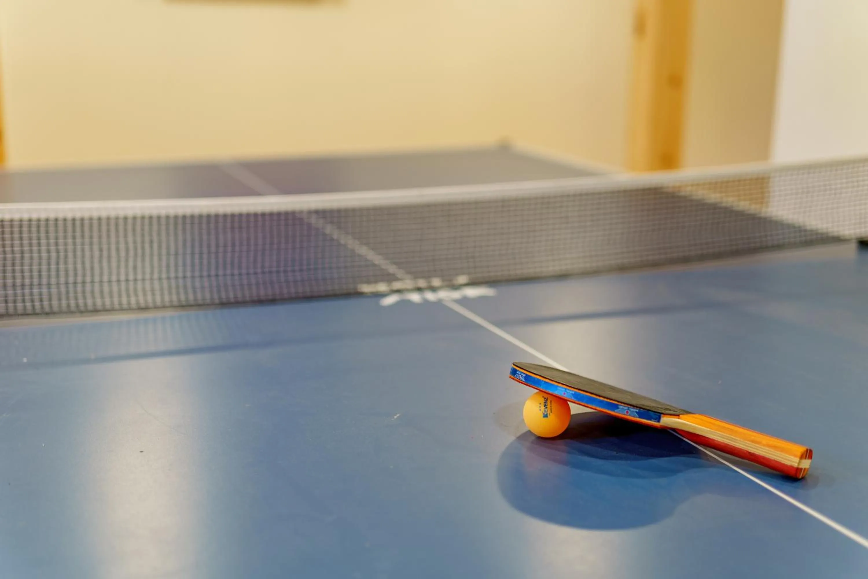 Game Room in Adirondack Alpine Cabin with Hot Tub, Near Whiteface, Lake Placid, Game Rm, Fenced Yard, Views