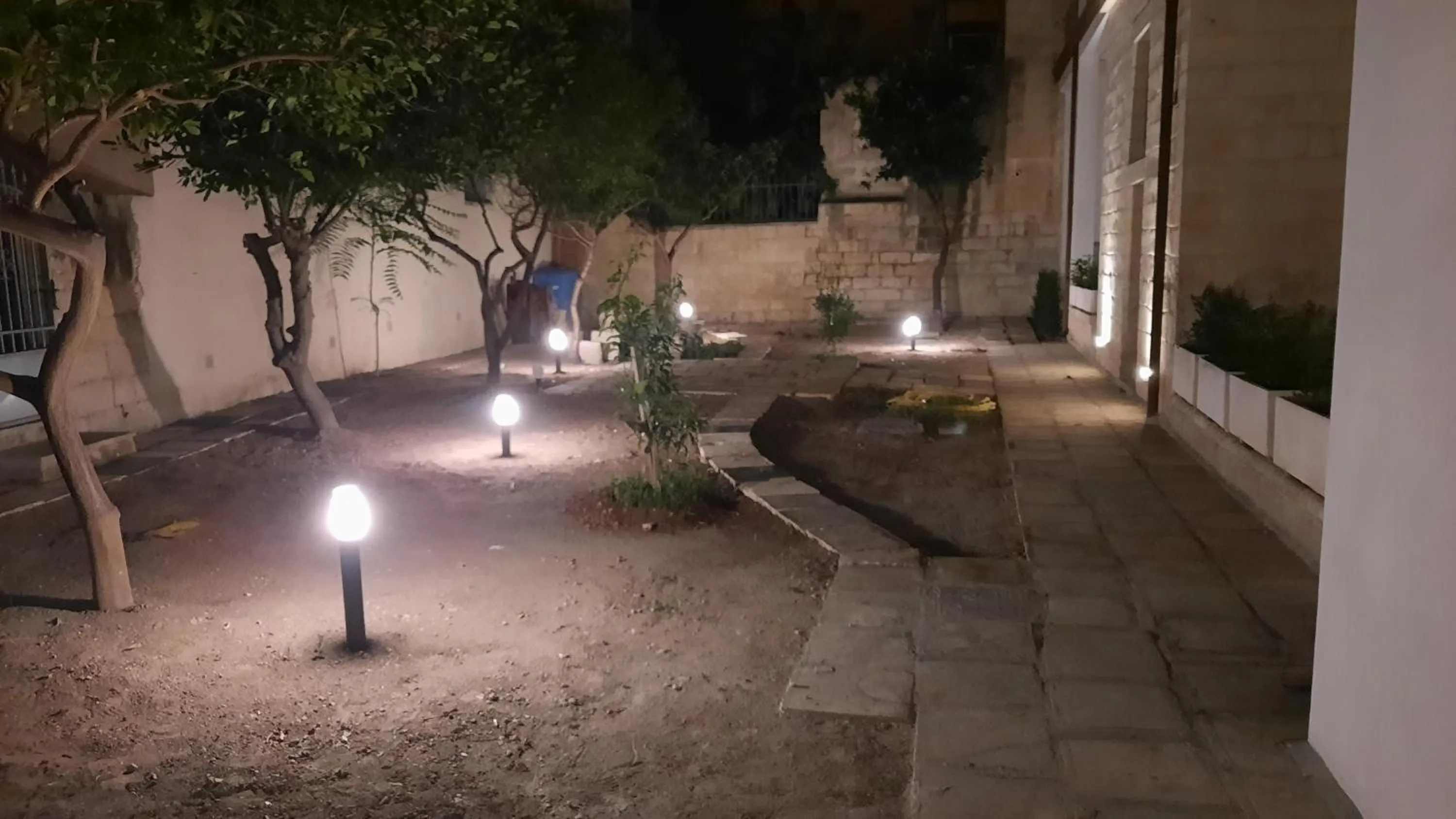 Garden in Palazzo Ricciardi Residence
