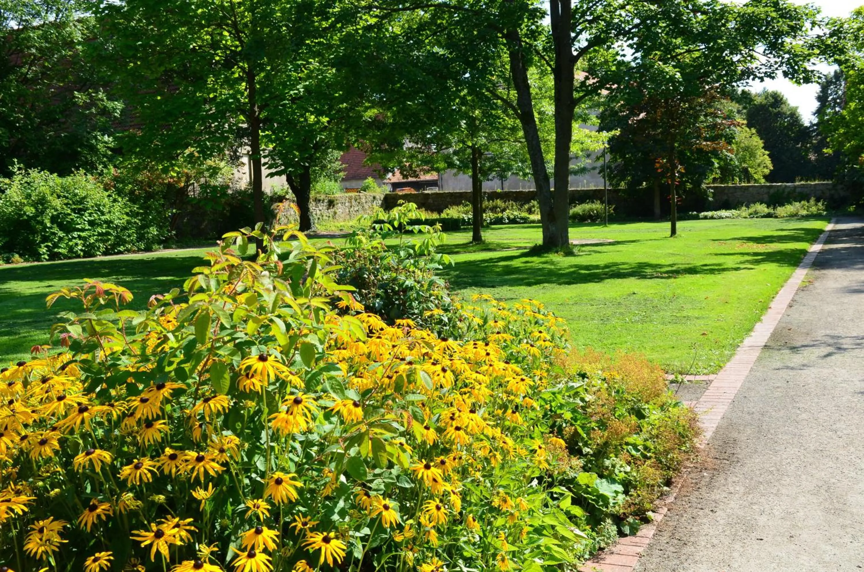 Area and facilities in velcrea