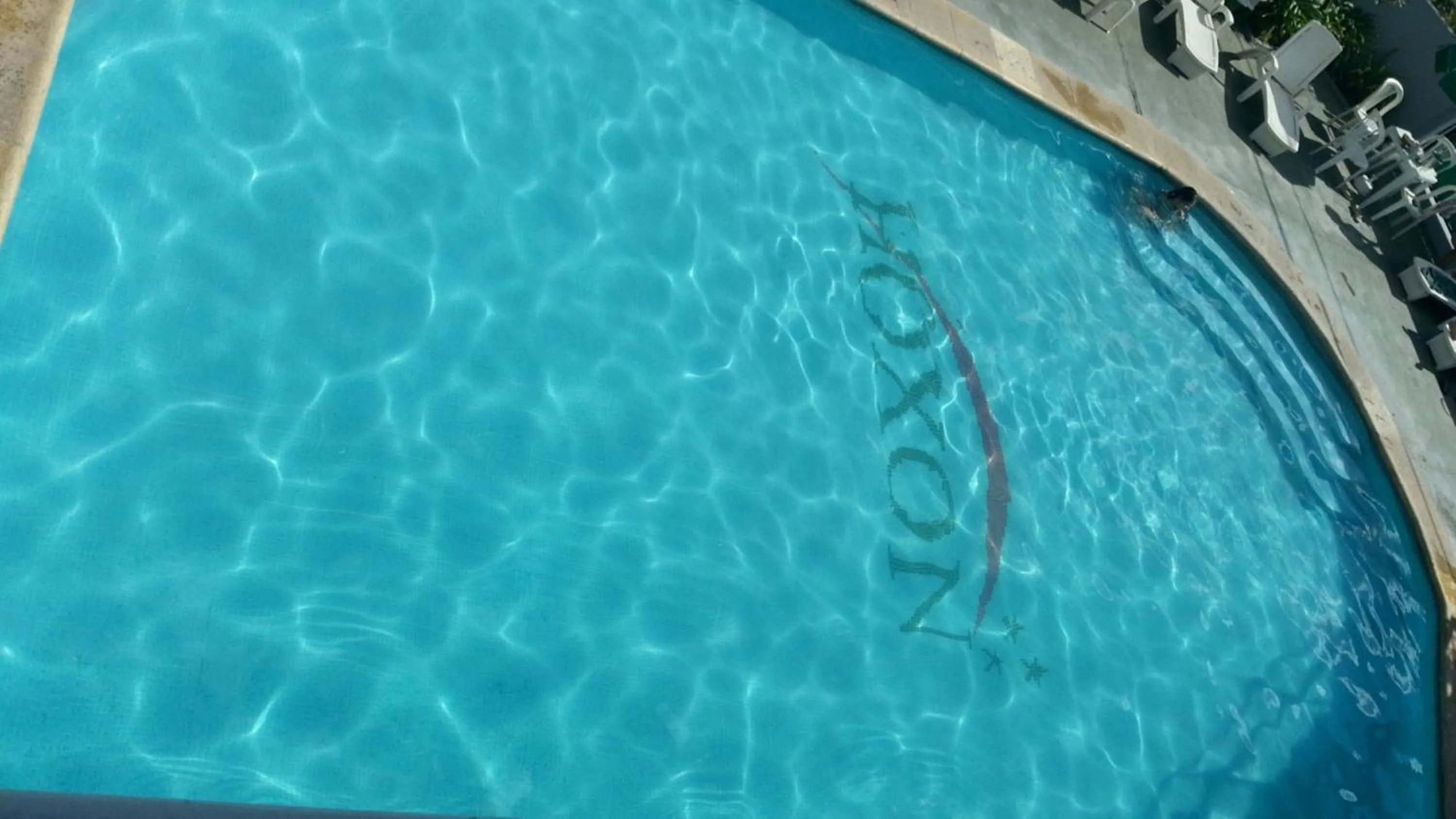 Swimming pool in Hotel Hoxon