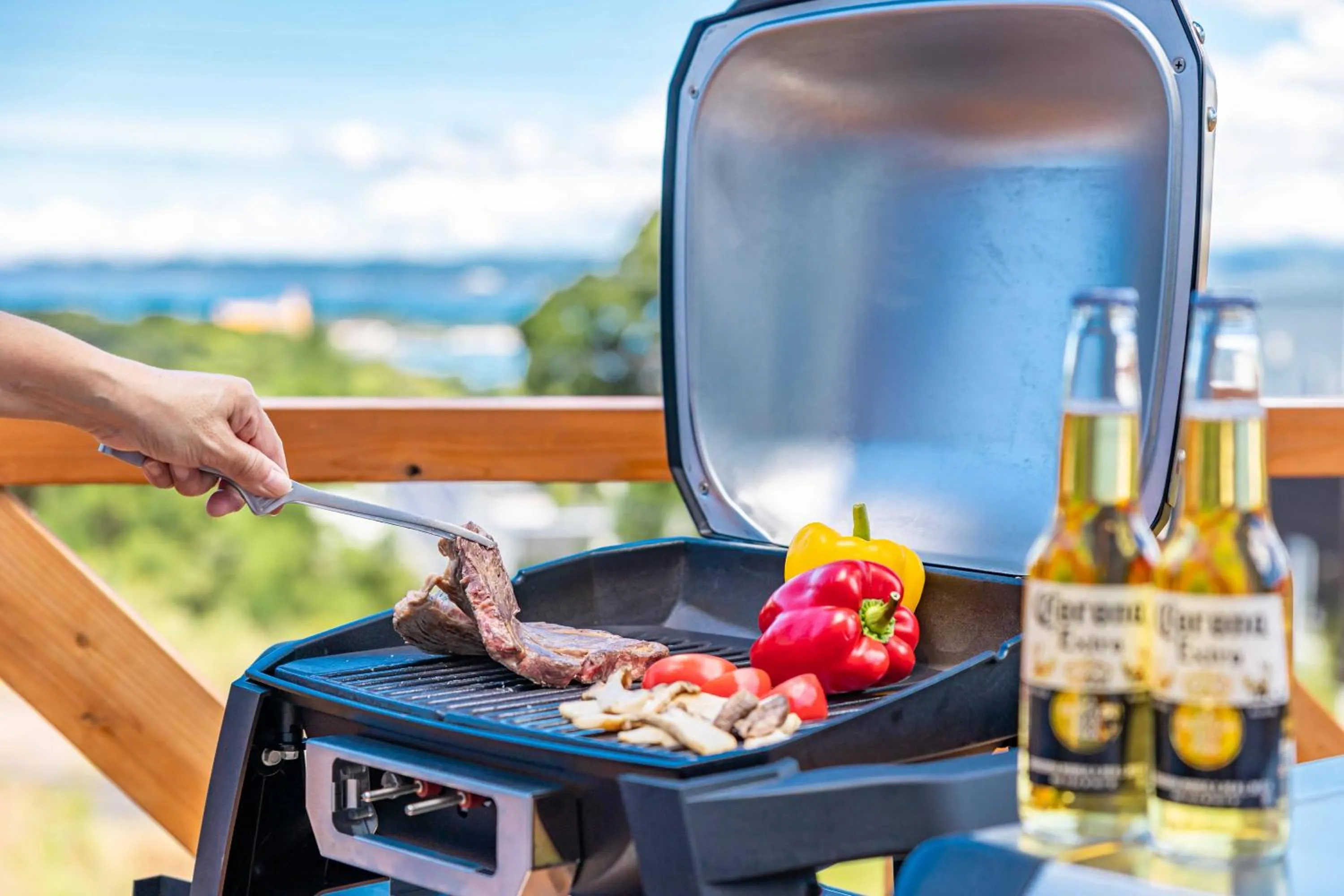 BBQ facilities in PEACE OF REST SHIRAHAMA