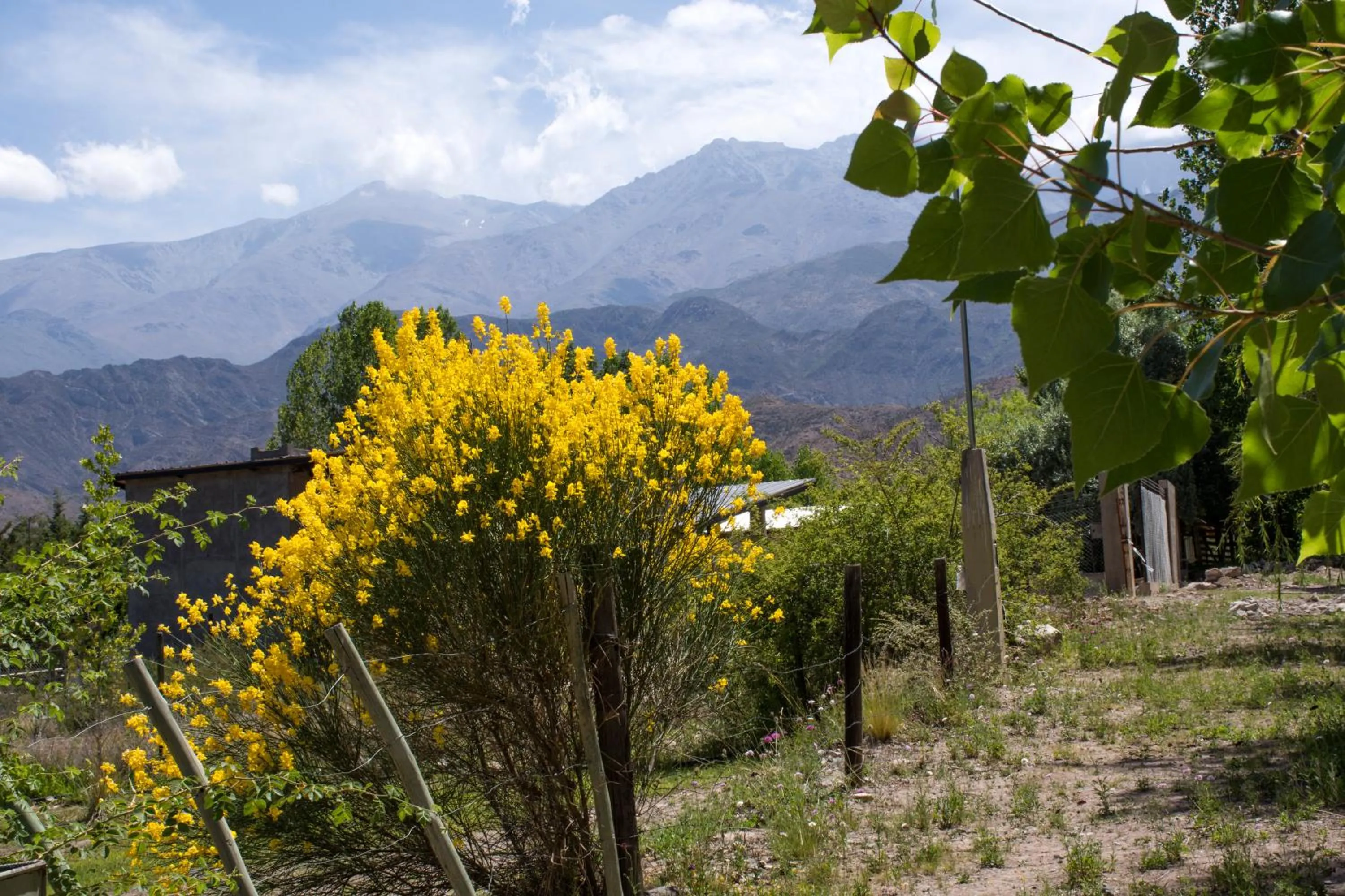 Activities in Las Espuelas Casas de Montaña