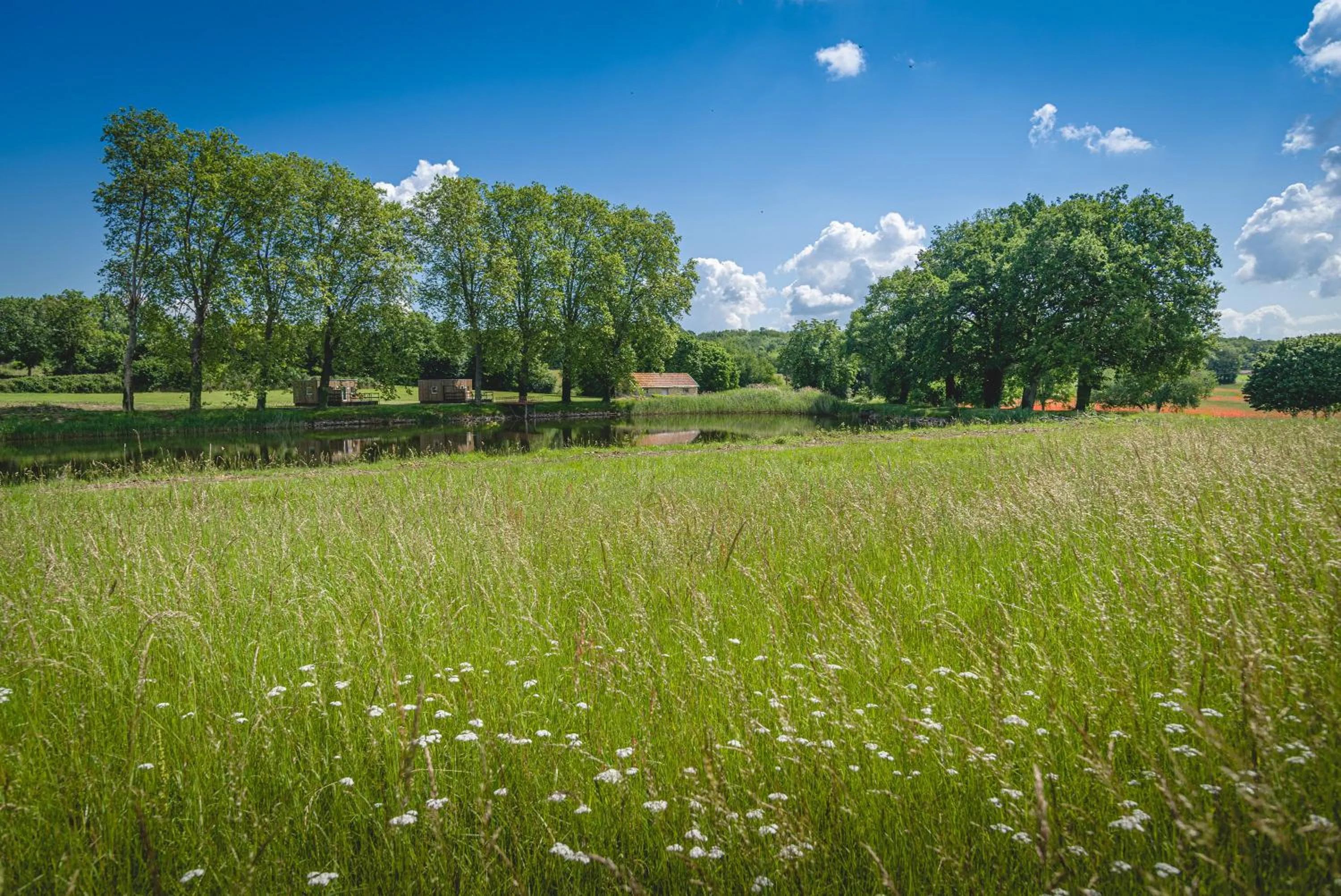 Garden in Domaine de Roiffé