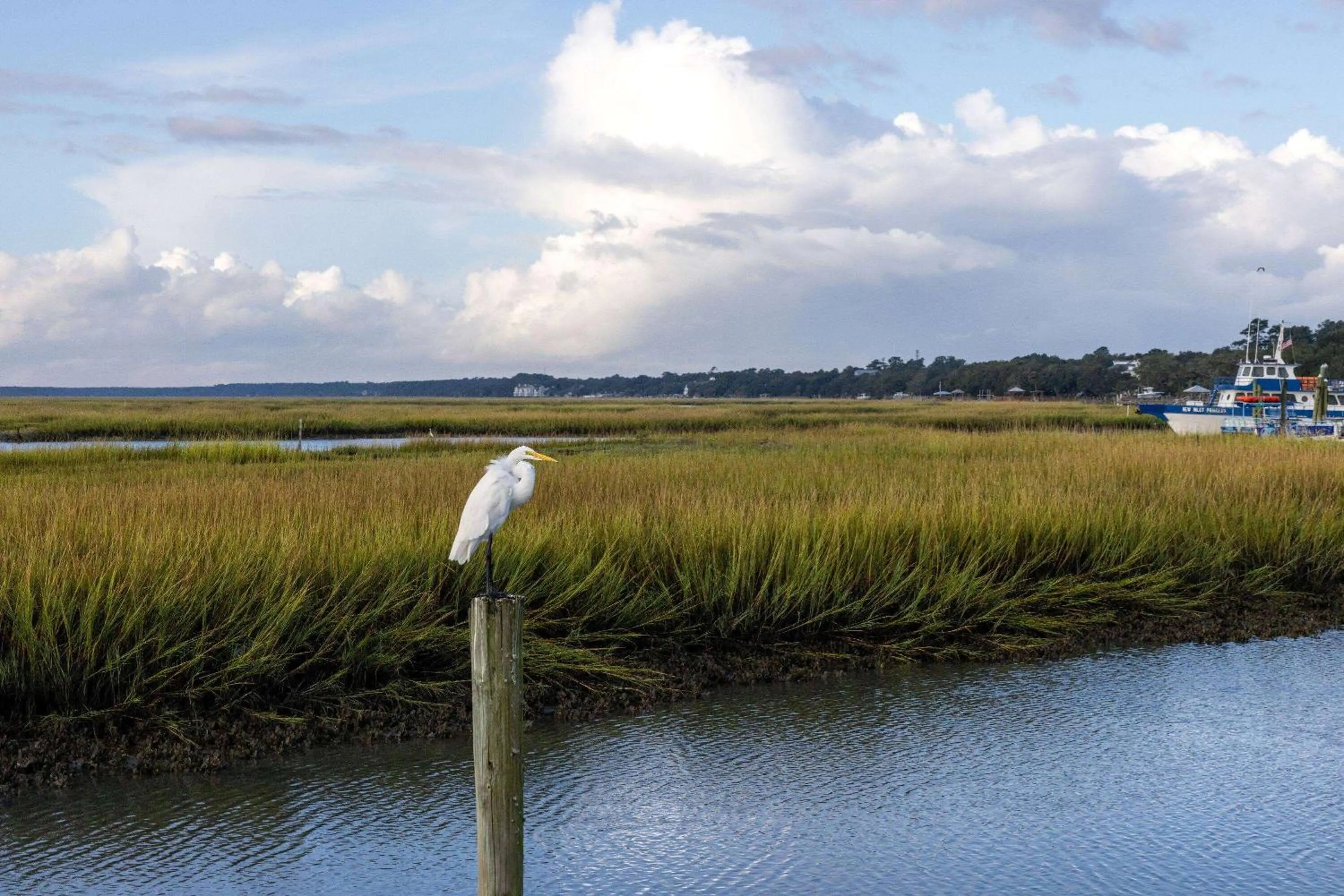 Other in Sandpebble Beach Club Surfside Beach a Ramada by Wyndham