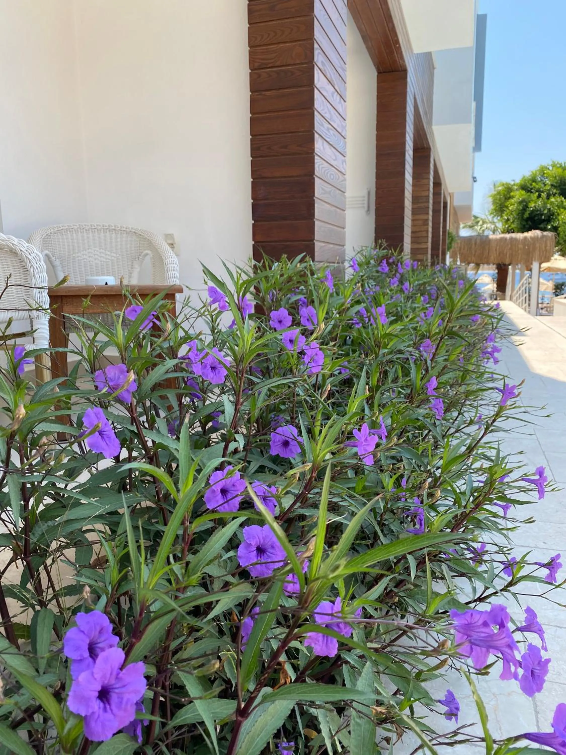 Property building in Zest Exclusive Hotel & Spa