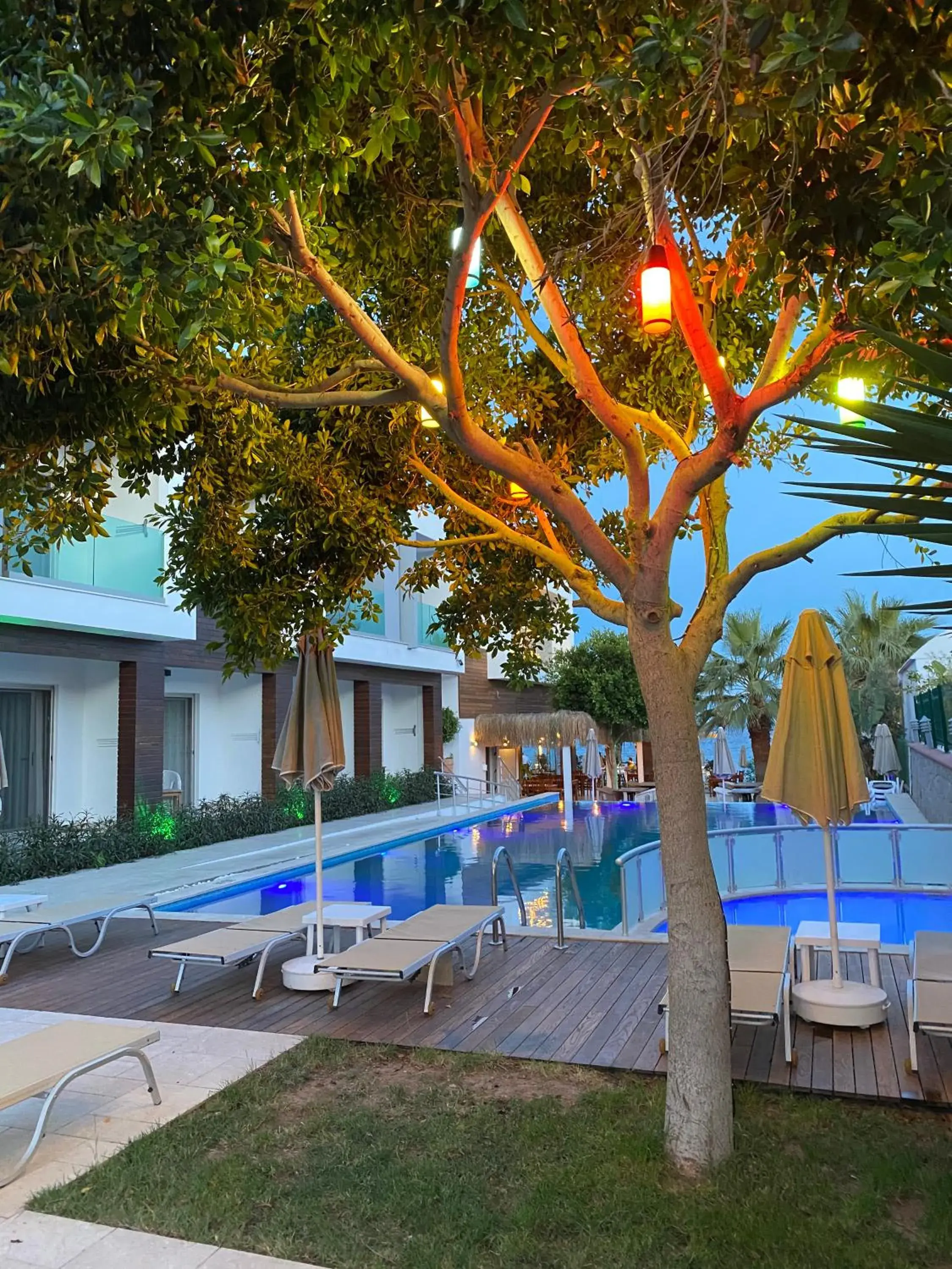 Pool view in Zest Exclusive Hotel & Spa Pool view in Zest Exclusive Hotel & Spa