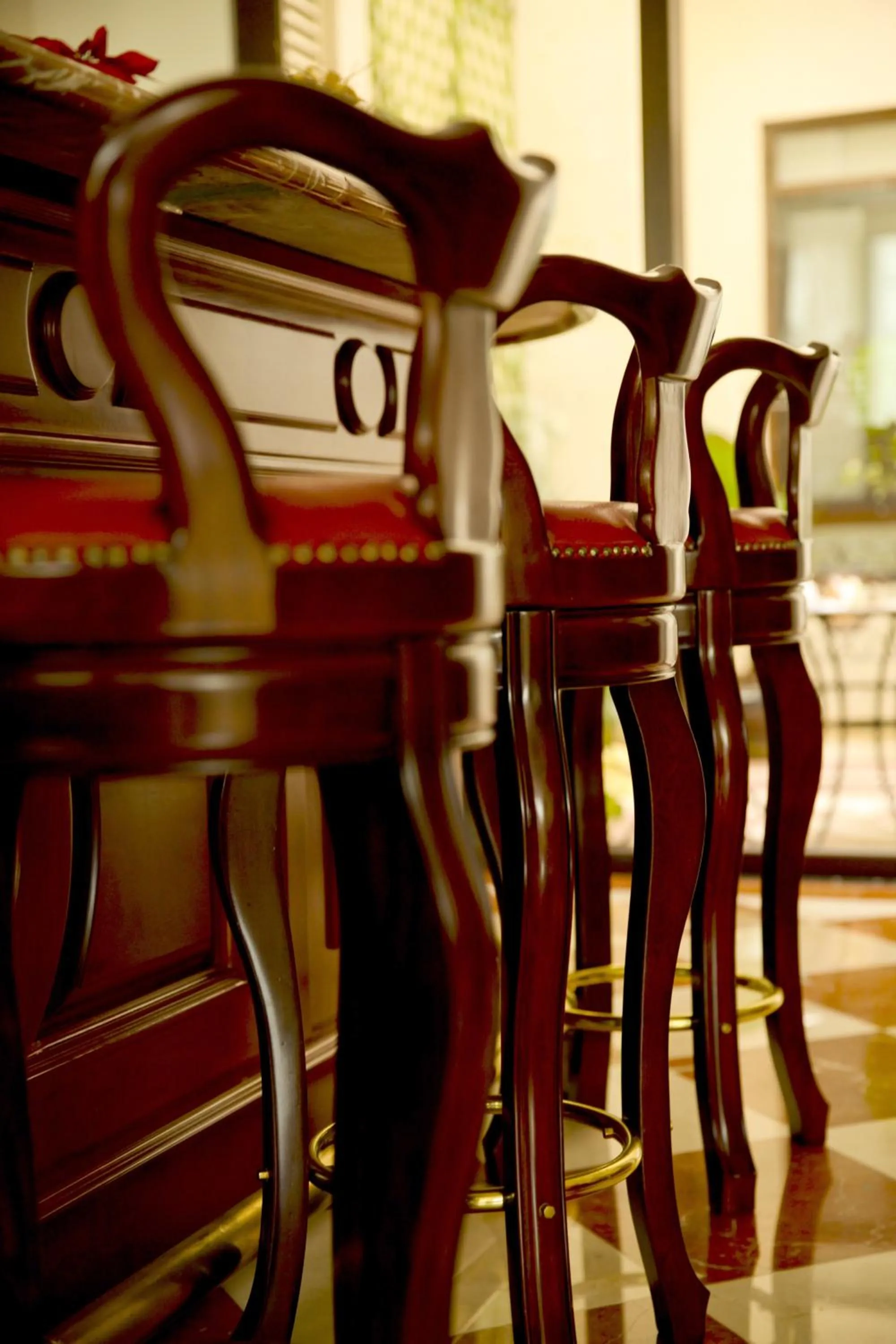 Area and facilities in Grand Hotel Tepatitlán