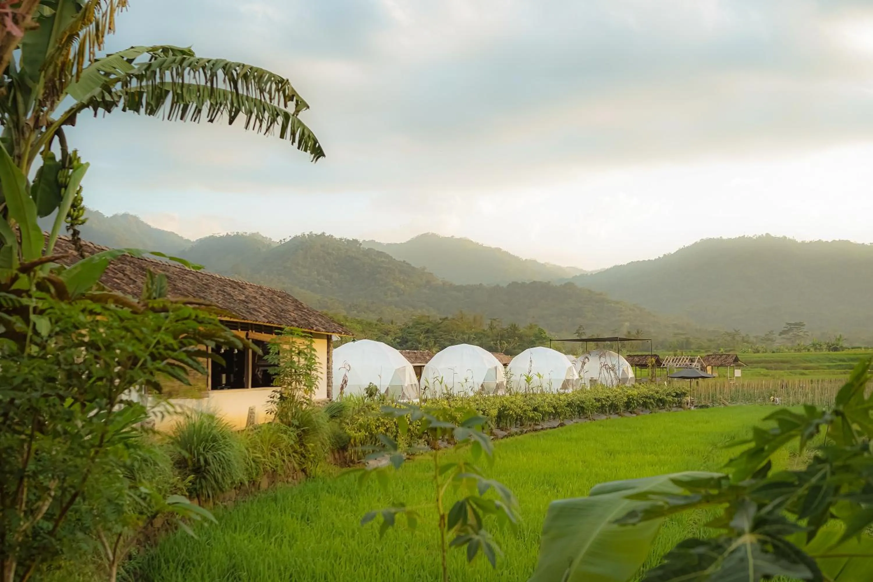 Garden view in Borobudur Luxury Glamping