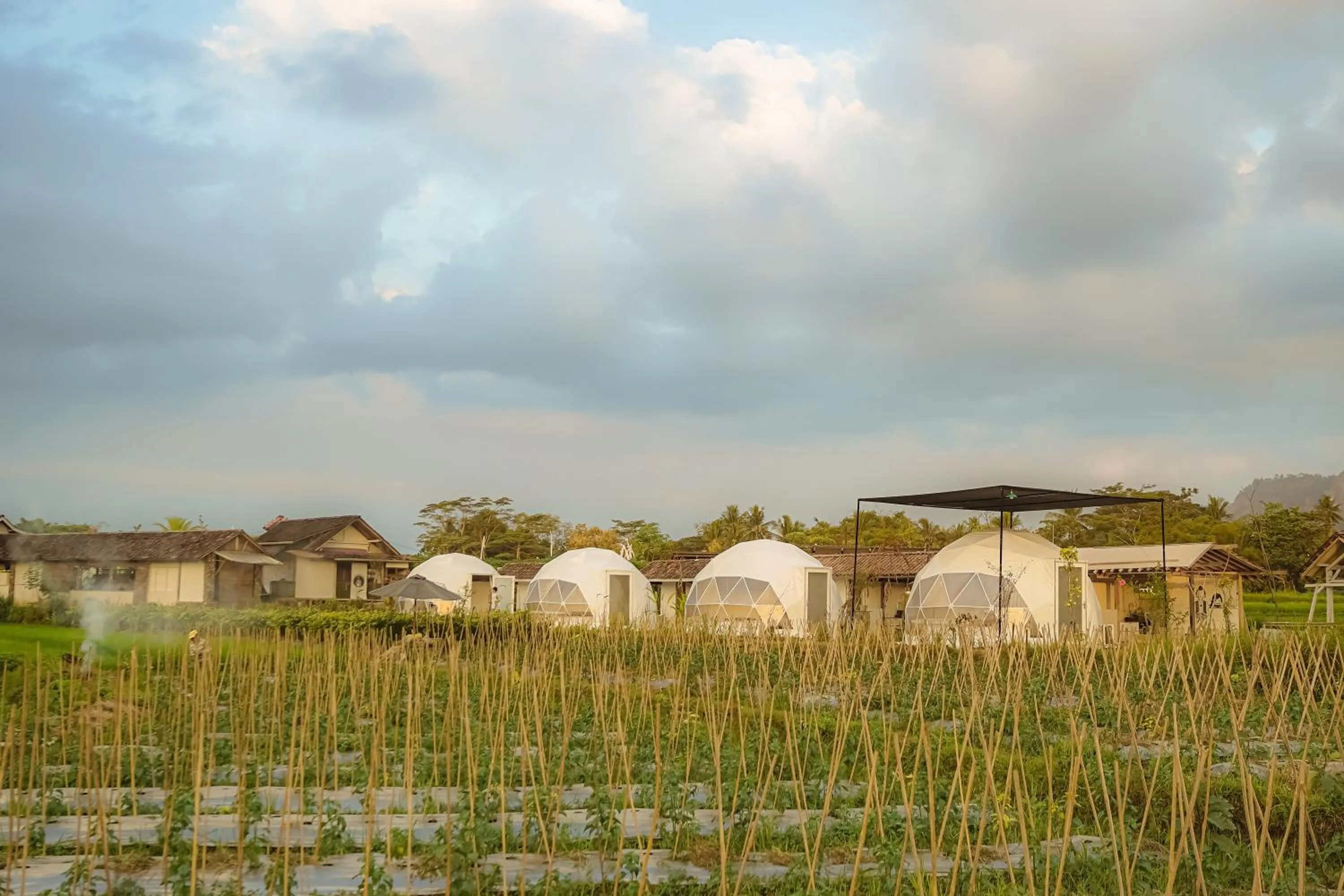 Natural landscape in Borobudur Luxury Glamping
