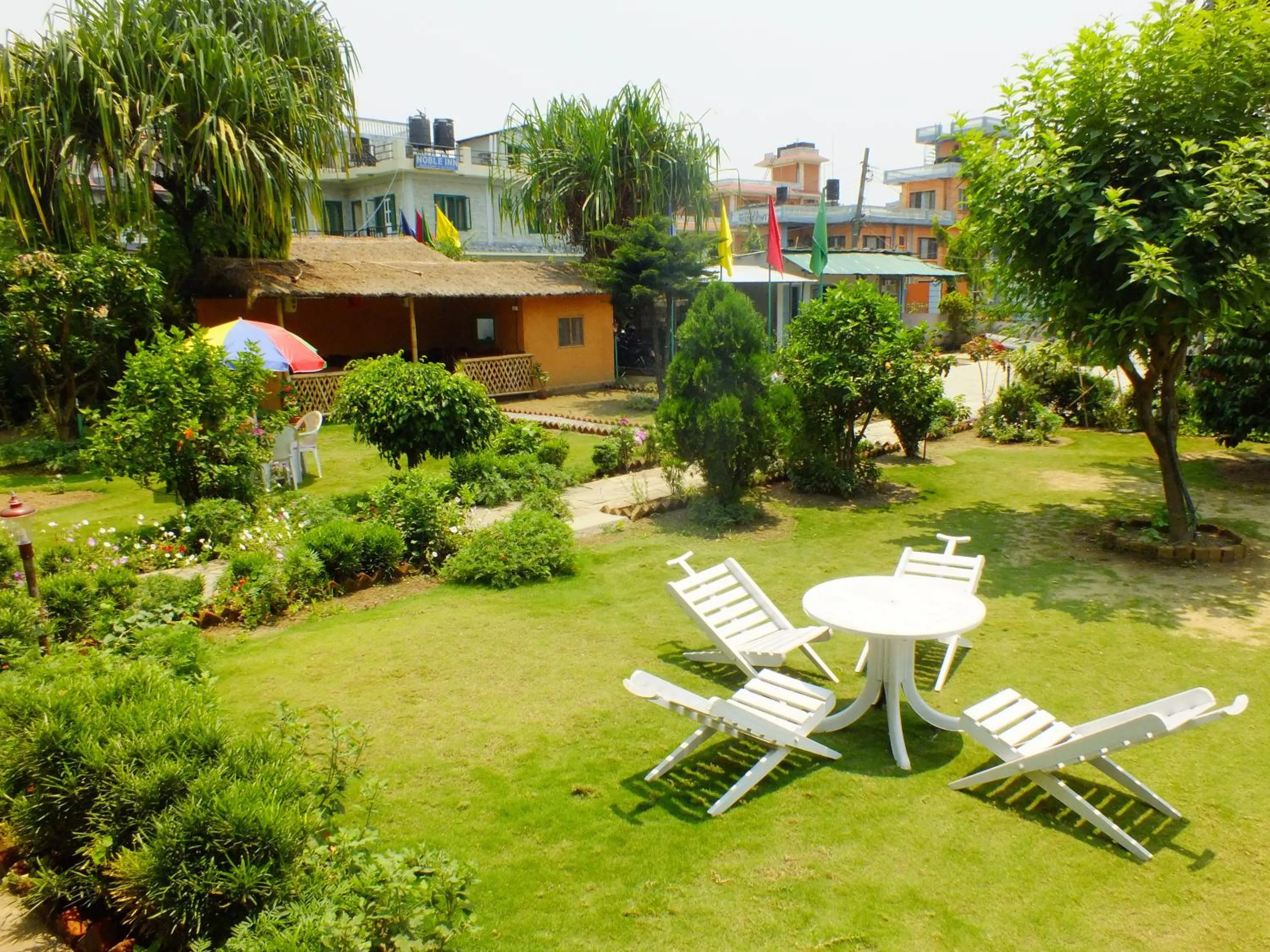 Garden in Hotel Greenland