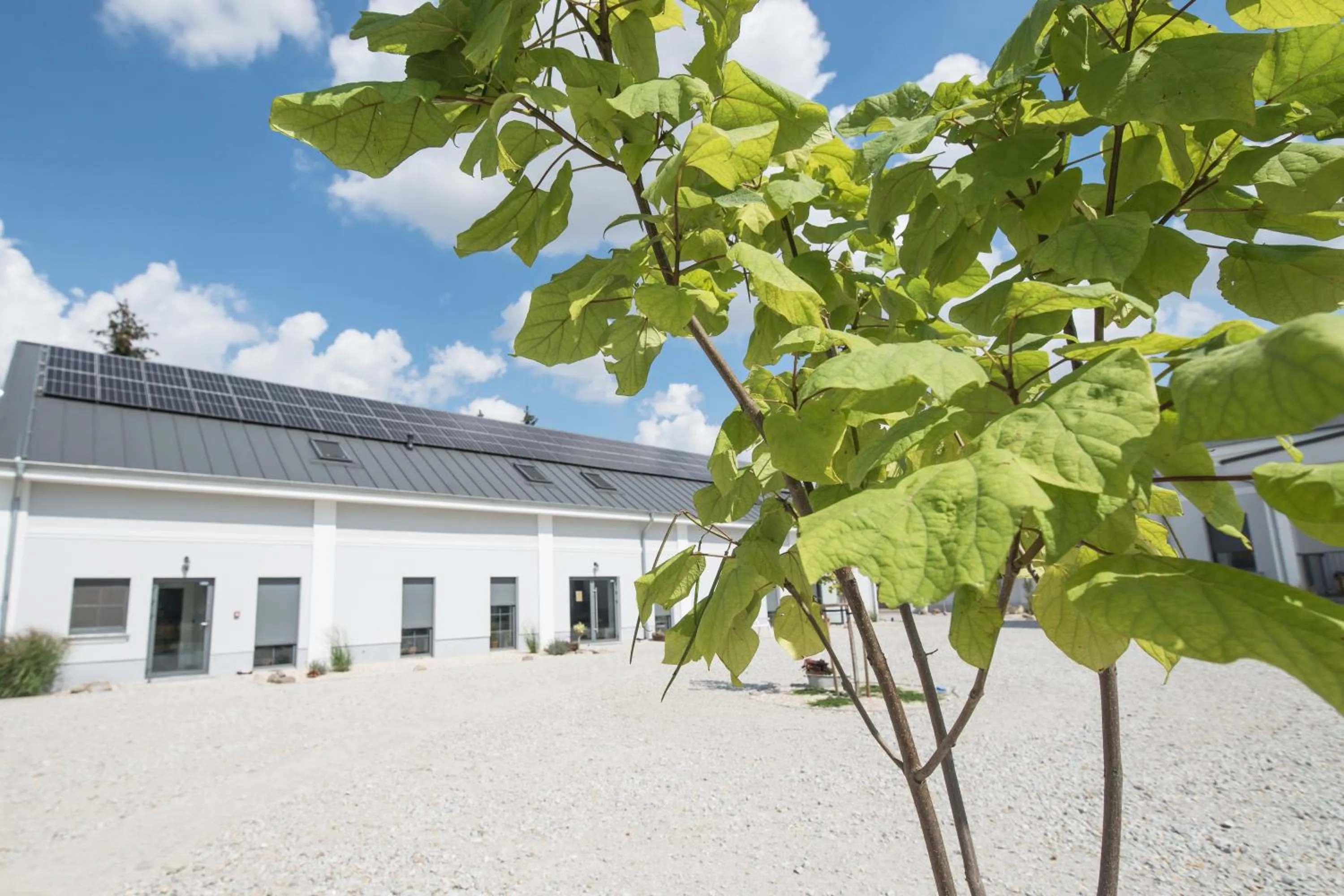 Property building in Folwark Matecznik - Spichlerz