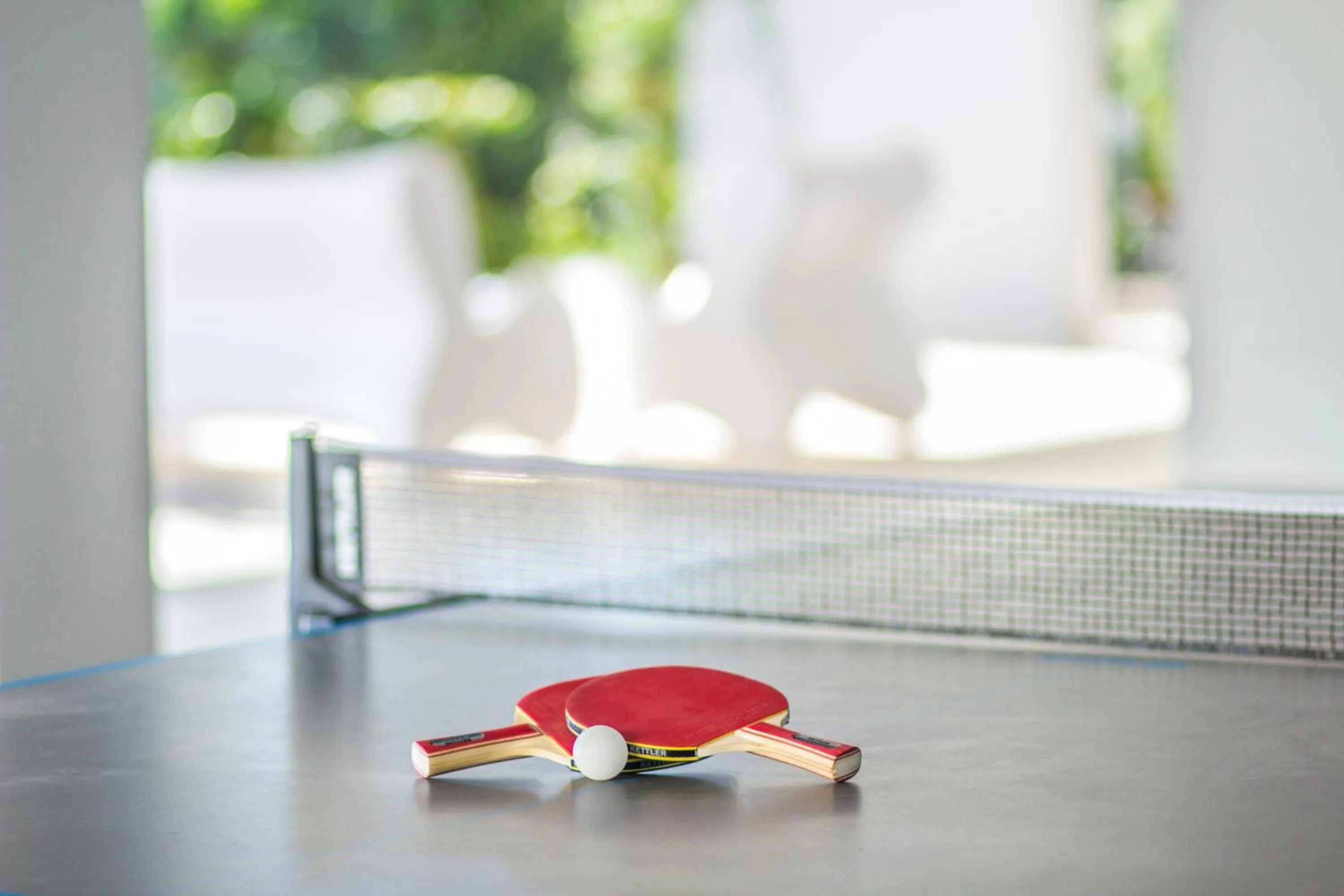 Table tennis in Scale Suites
