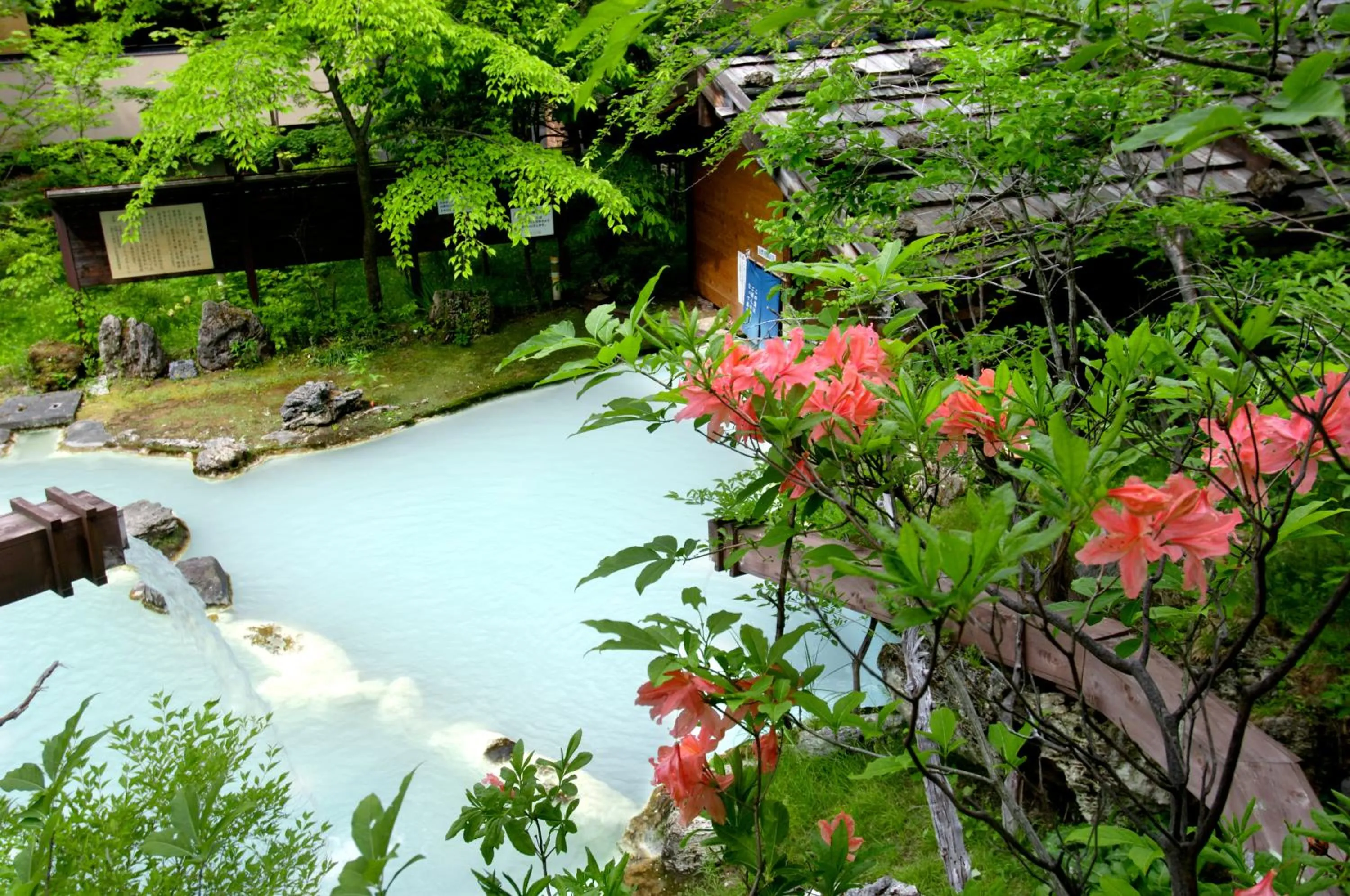 Hot Spring Bath in Awanoyu
