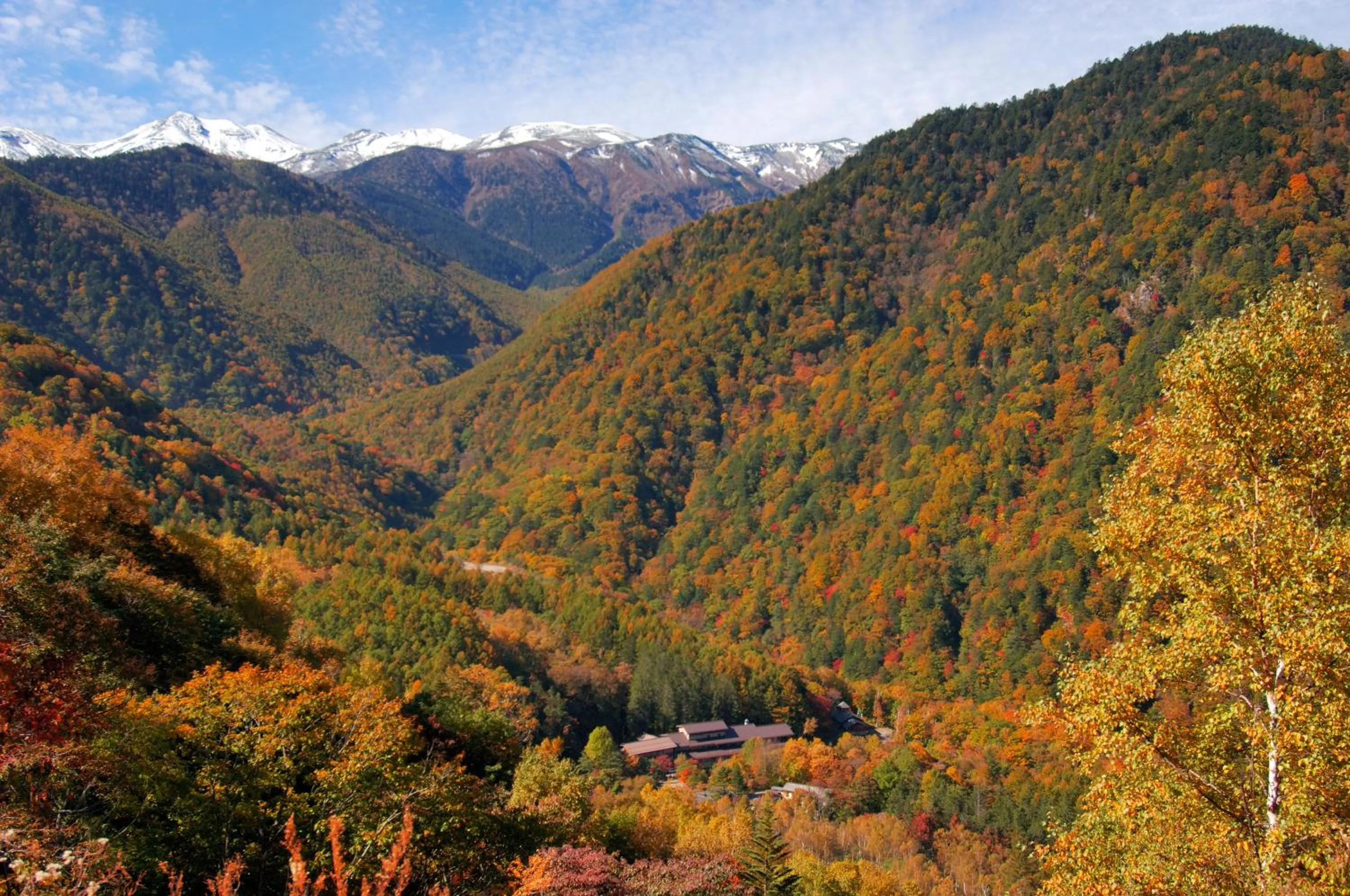 Bird's eye view in Awanoyu