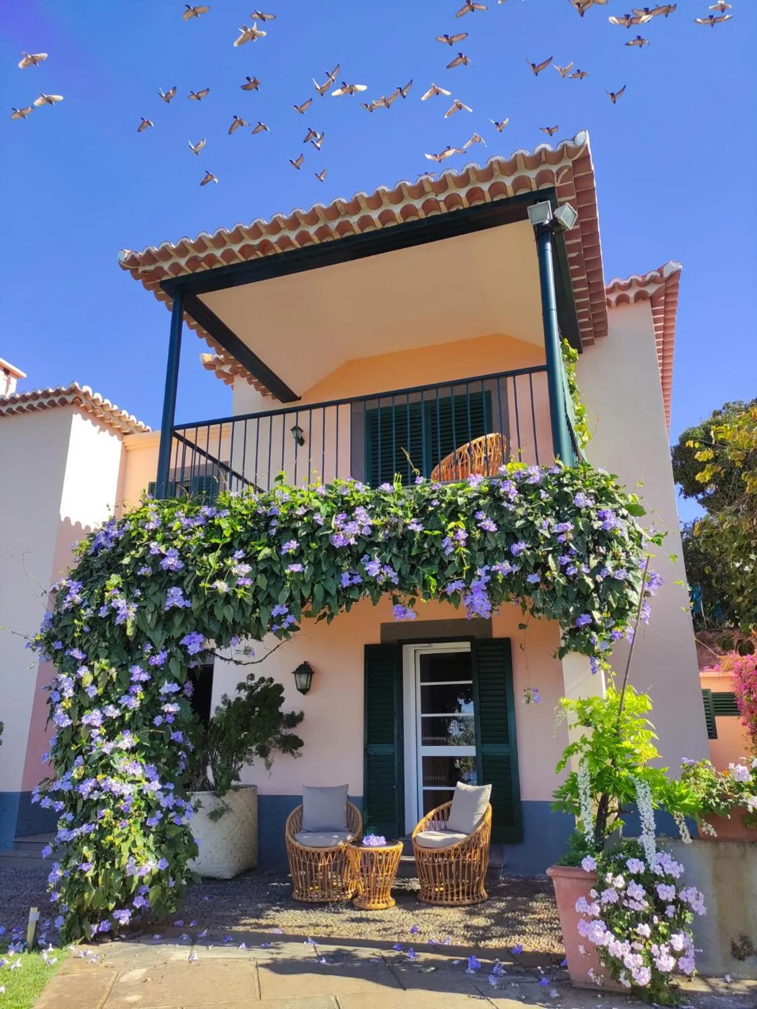 Spring in Quinta São Gonçalo