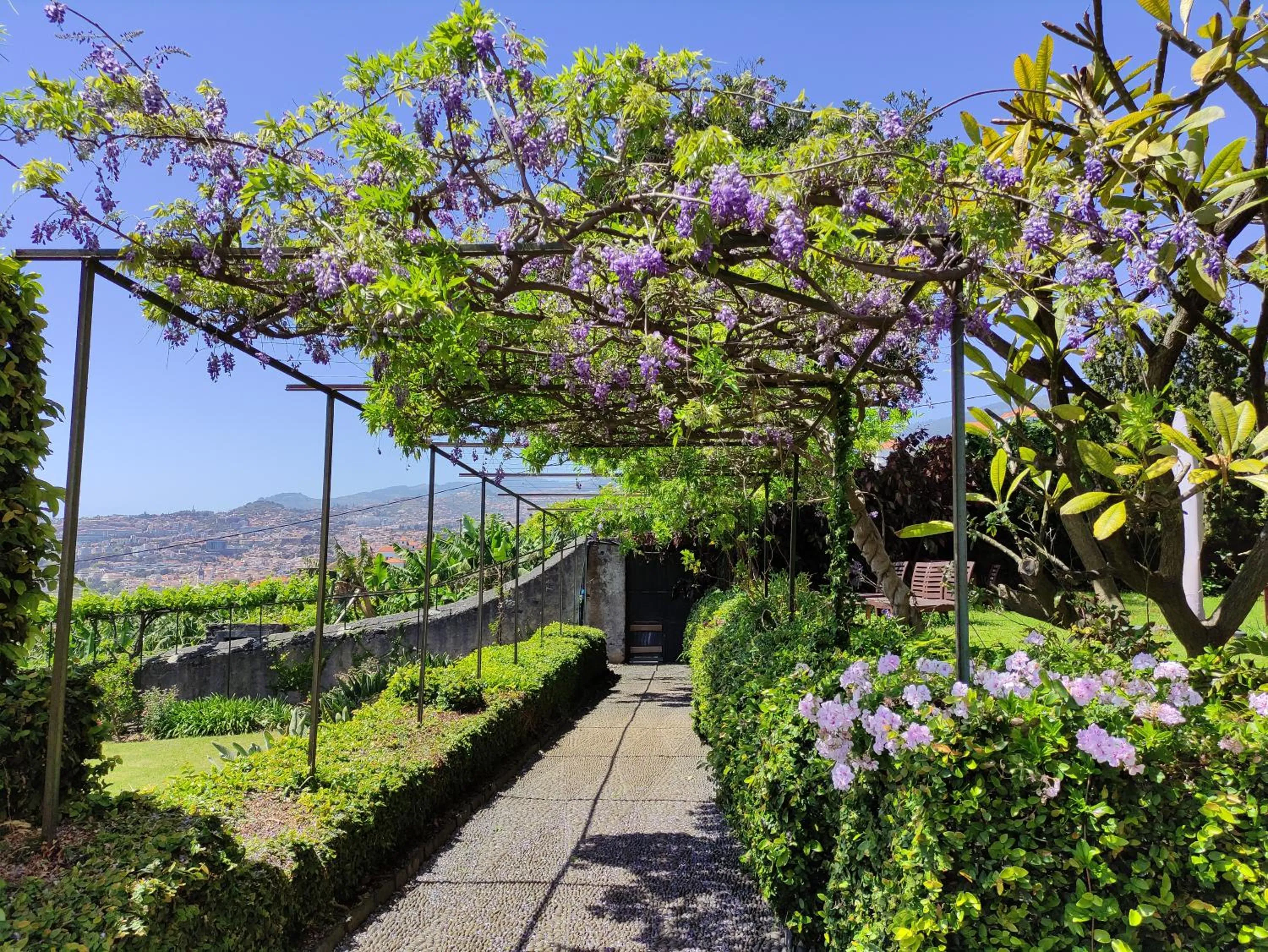 Spring in Quinta São Gonçalo