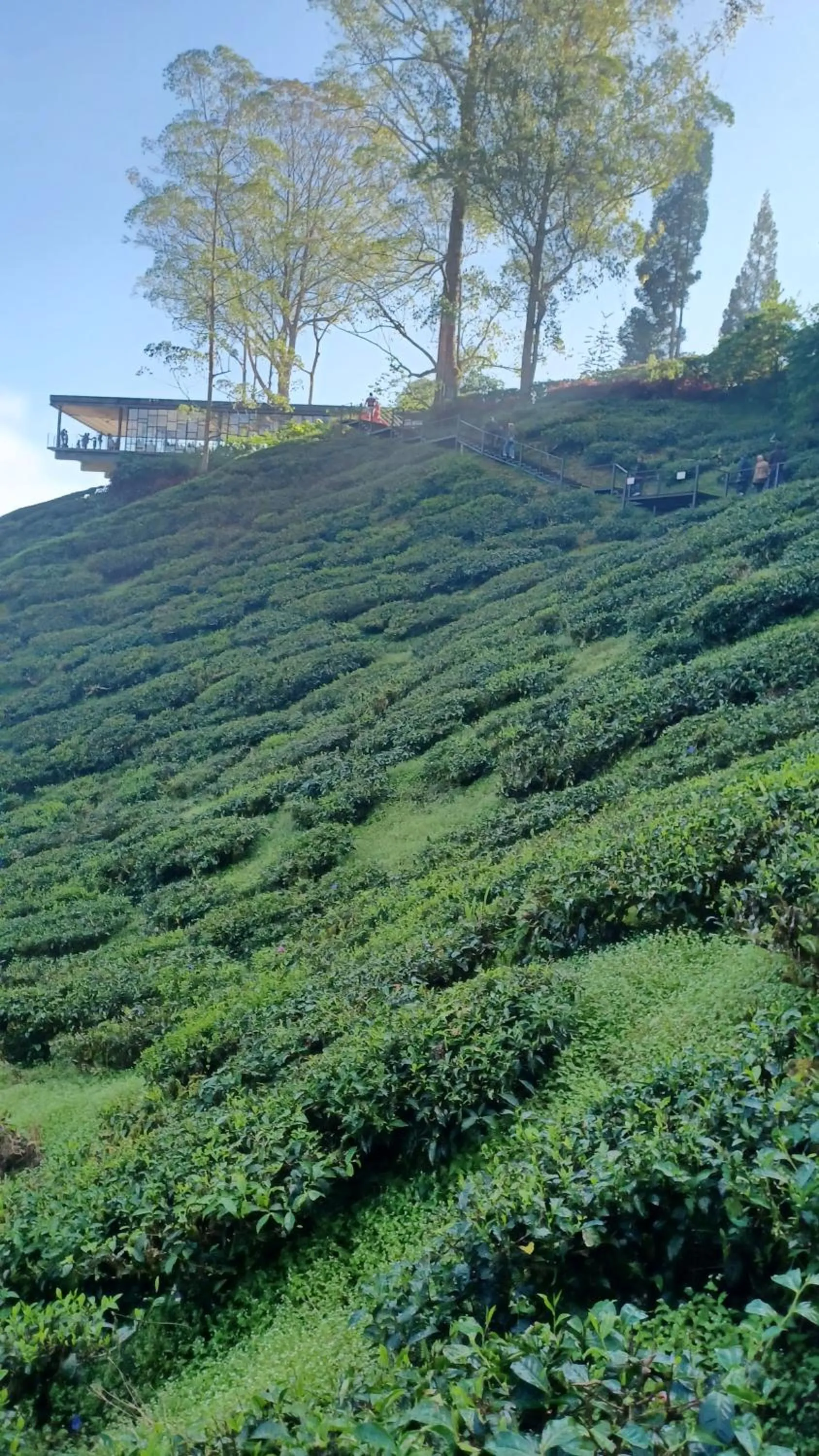 BRICKS Cameron Hostel