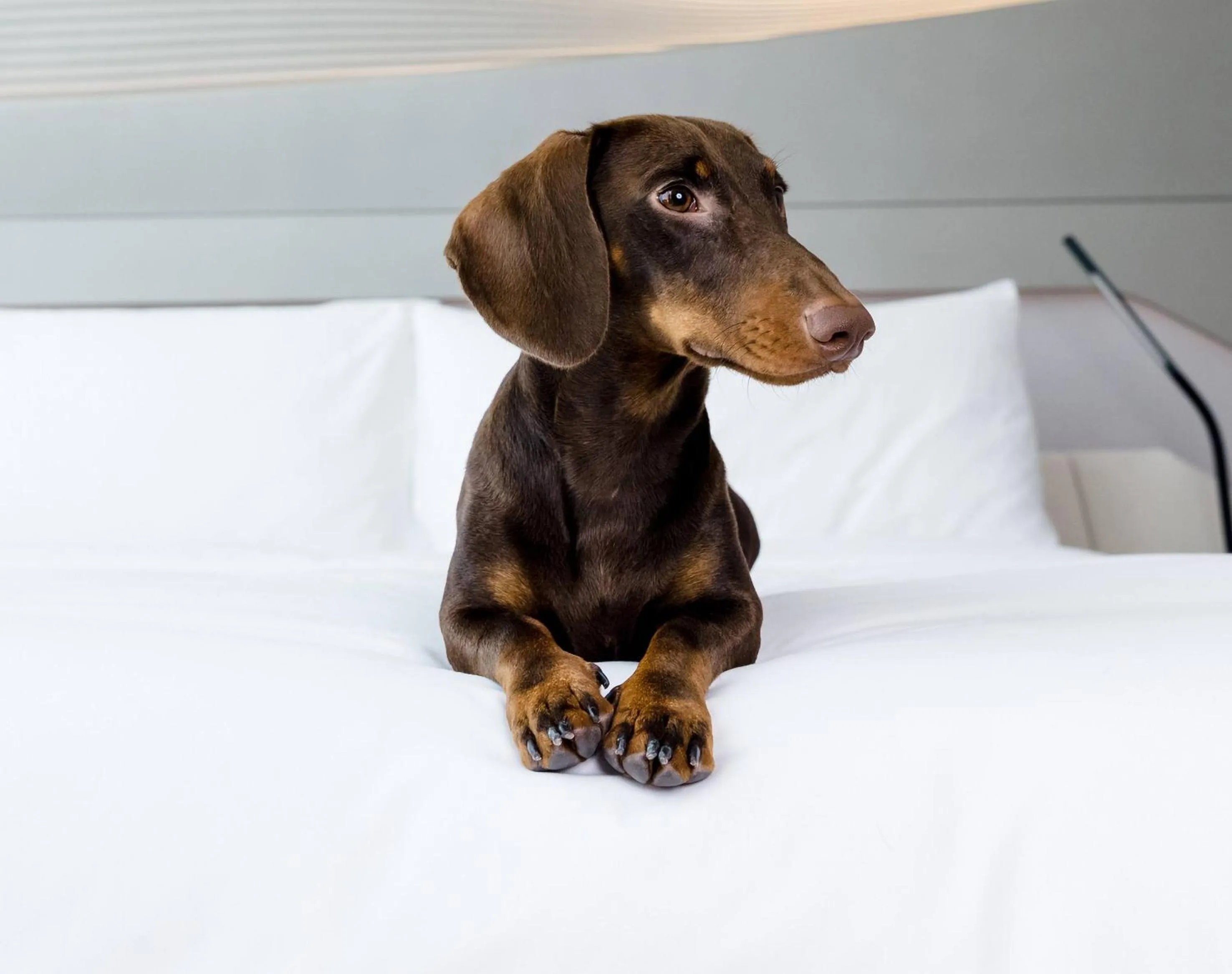 Bed in INNSiDE Tenerife Santa Cruz
