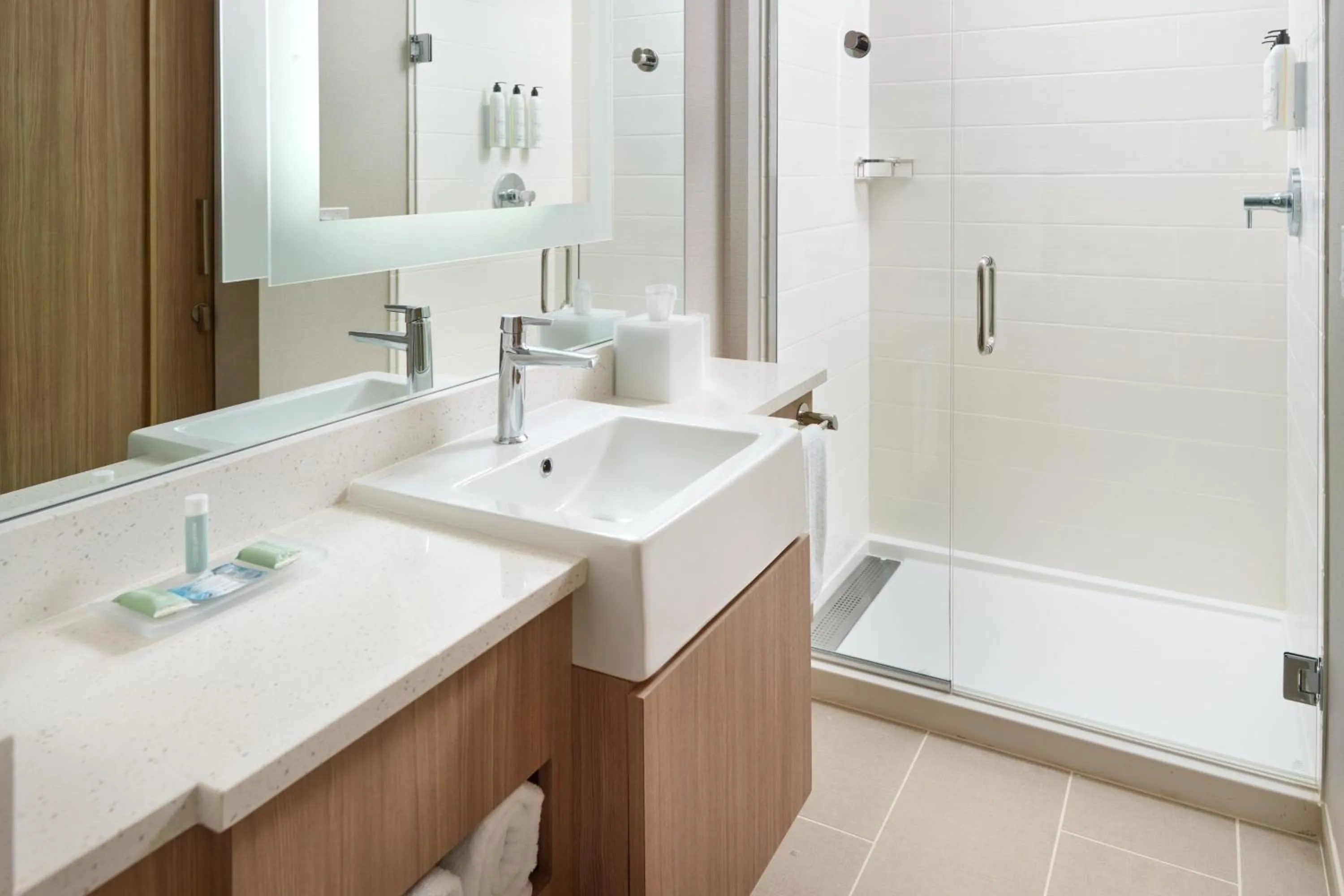 Bathroom in SpringHill Suites by Marriott Arlington TN