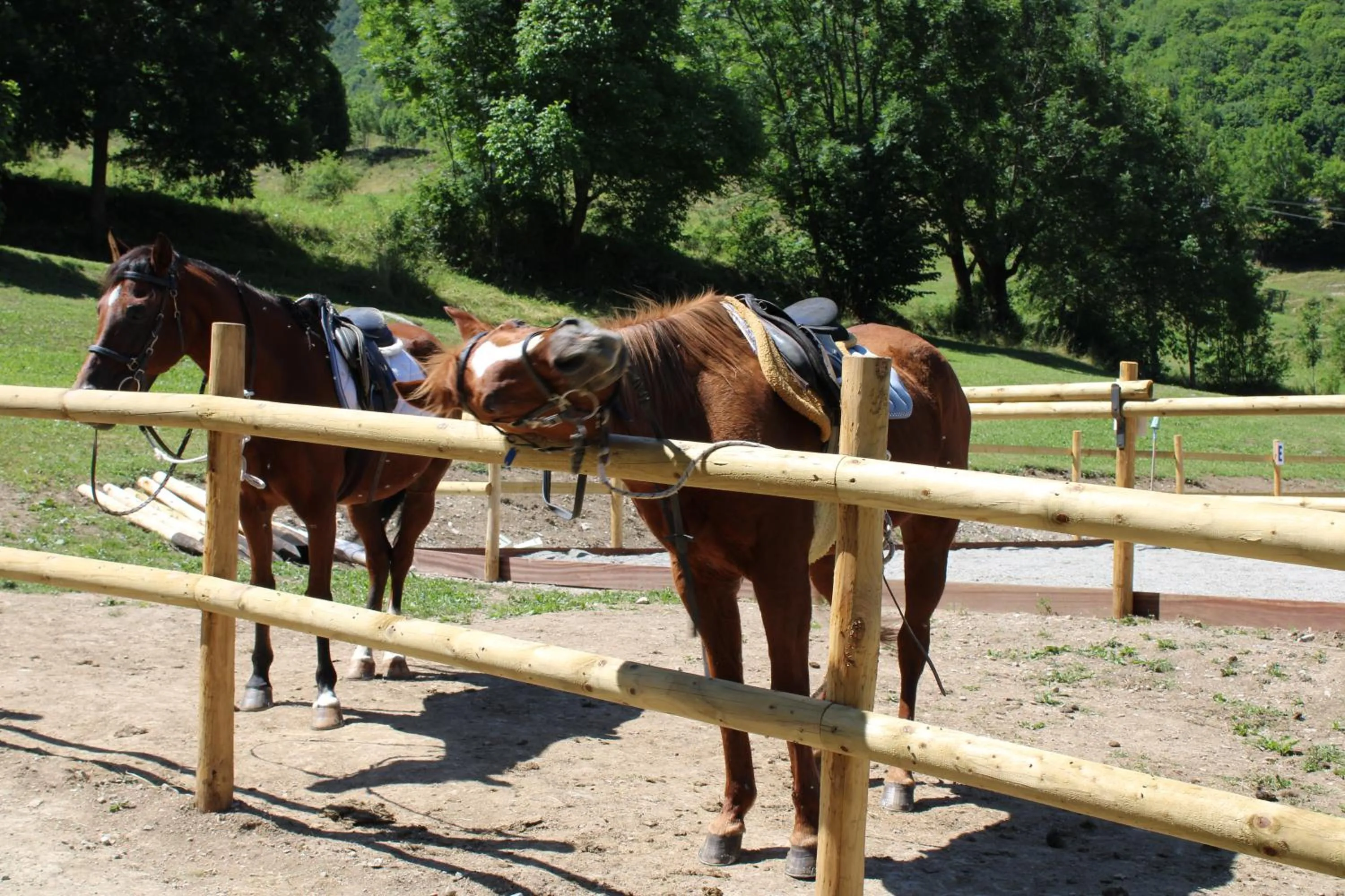Horse-riding in Chalet BRAGARD-Boutique Chalet & SPA