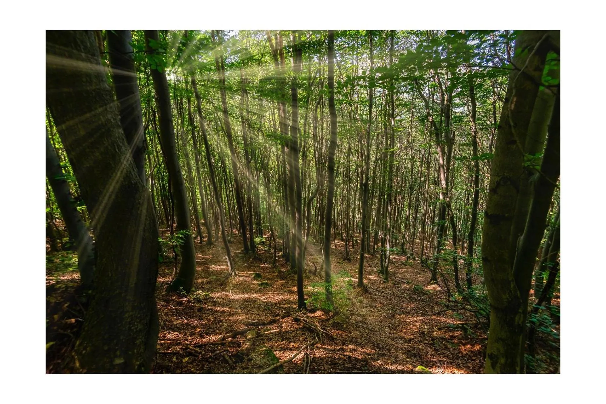 Nearby landmark in Chalet BRAGARD-Boutique Chalet & SPA