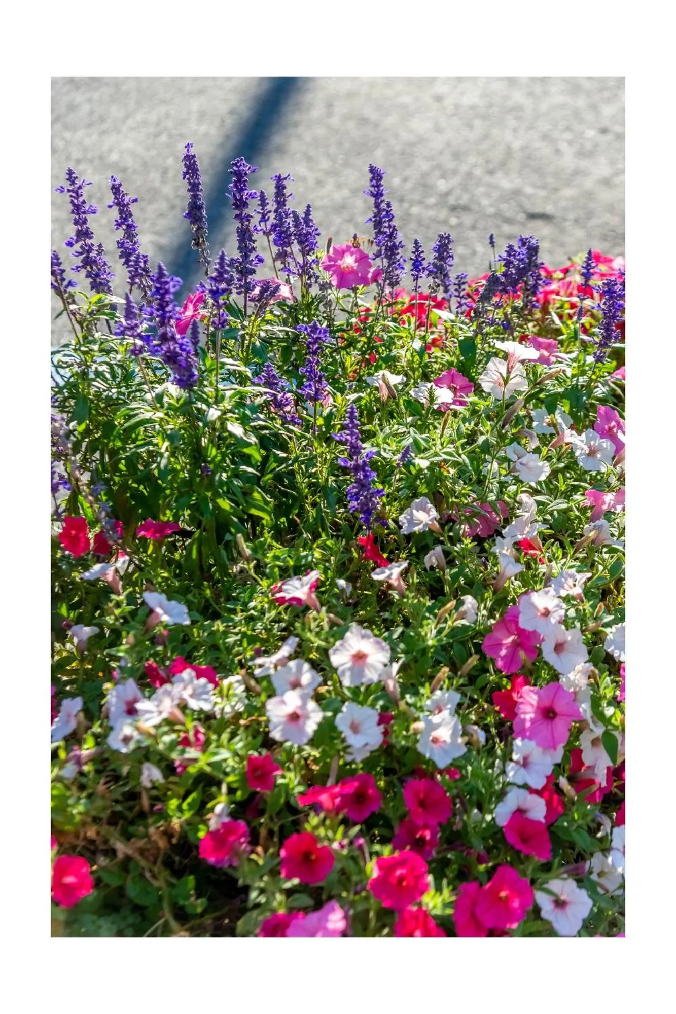 Spring in Chalet BRAGARD-Boutique Chalet & SPA