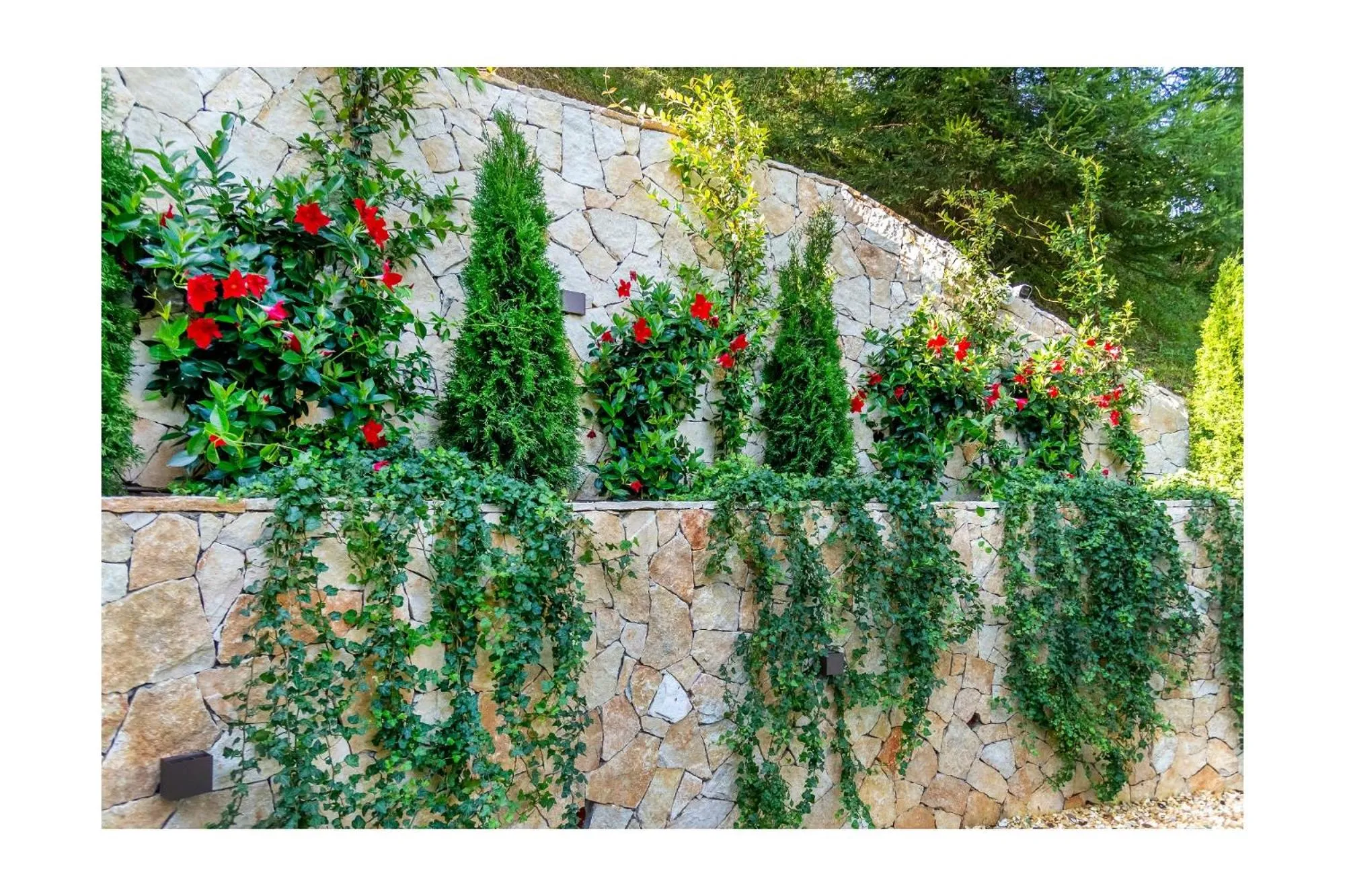 Garden in Chalet BRAGARD-Boutique Chalet & SPA