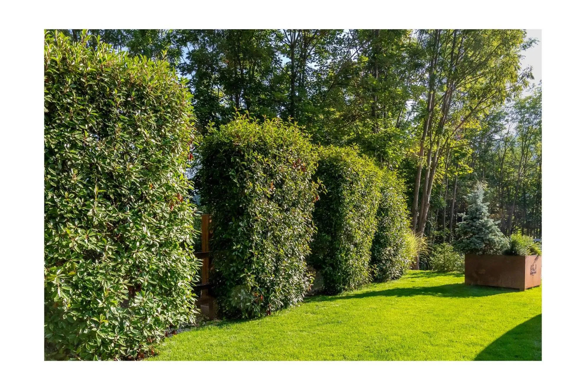 Garden in Chalet BRAGARD-Boutique Chalet & SPA