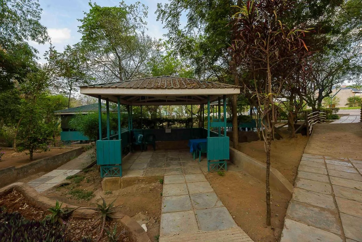 Garden view in Acacia Resort Wote-Makueni by Nest & Nomad