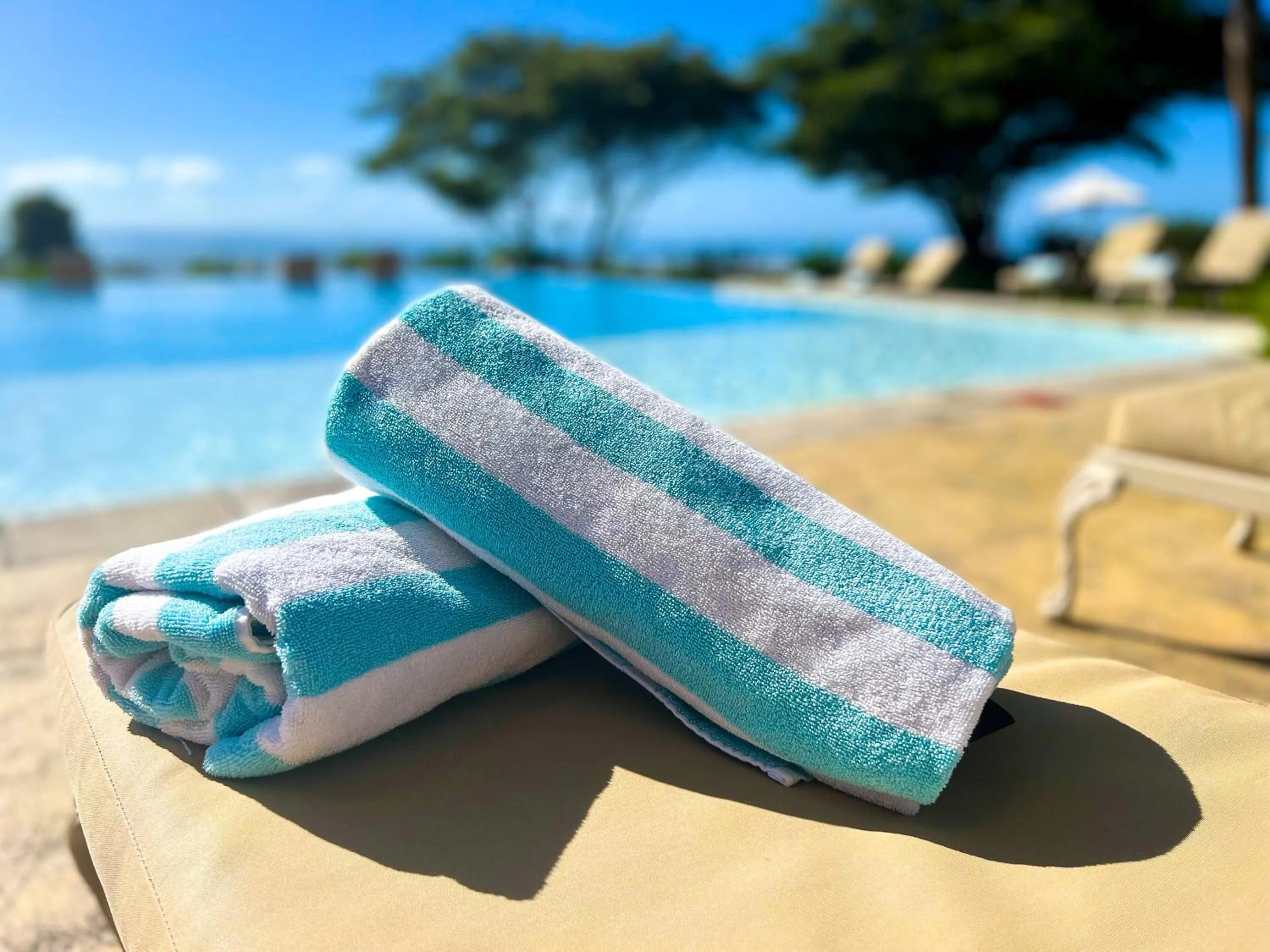 Swimming pool in Bahia Mar Boutique Hotel