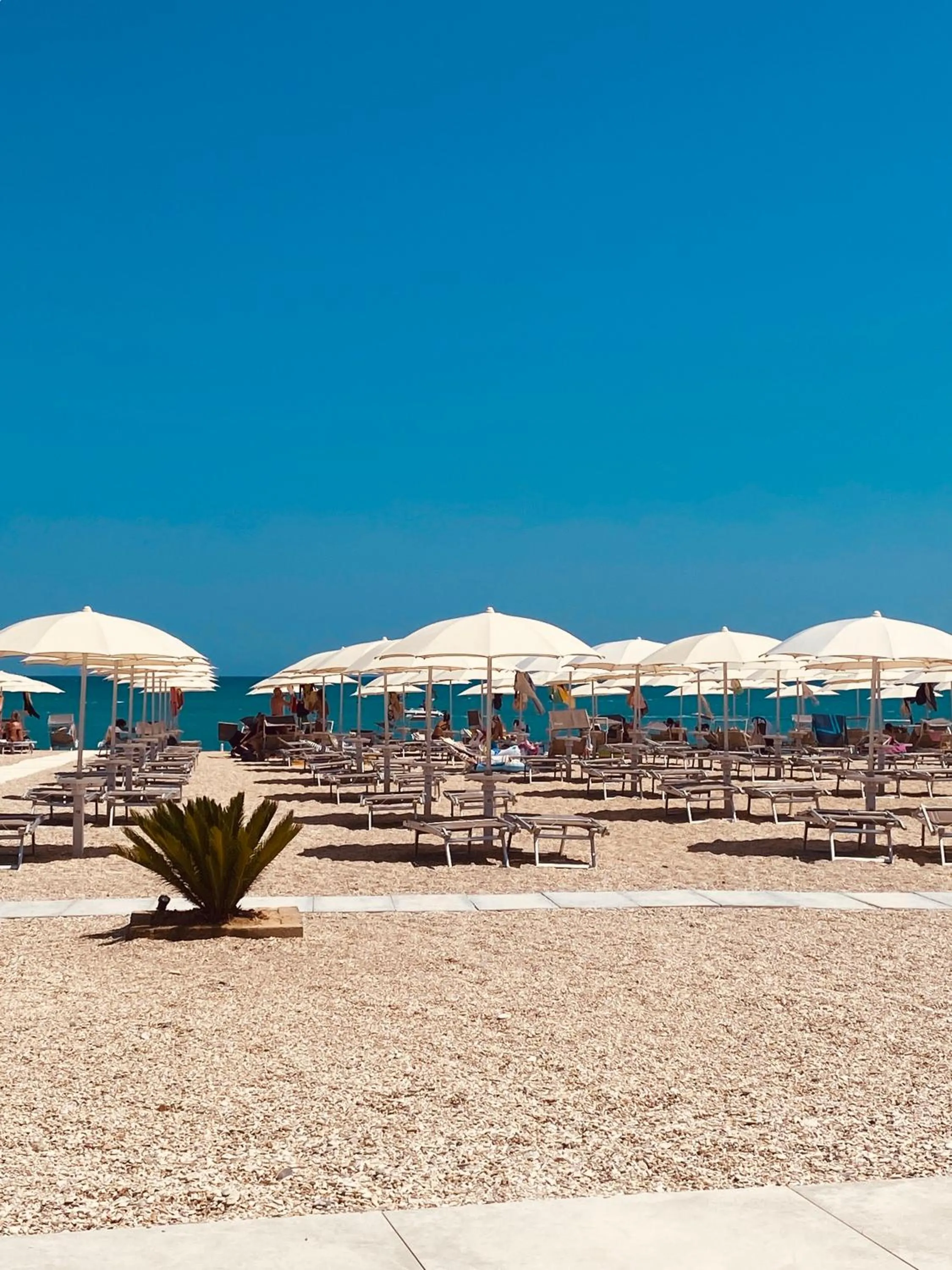 Day in Marino1958 RTA