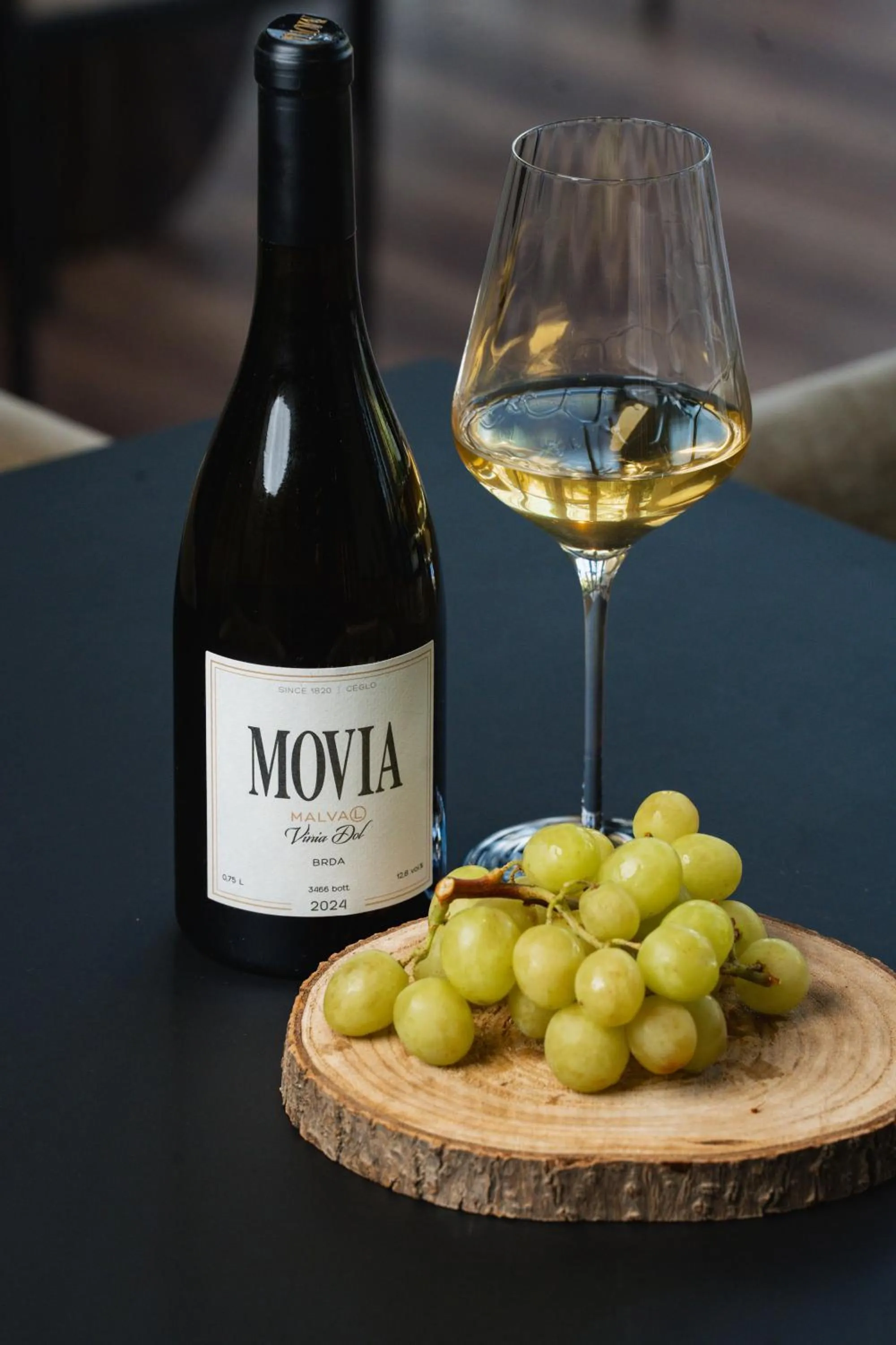 Lounge or bar in Hotel Lonca