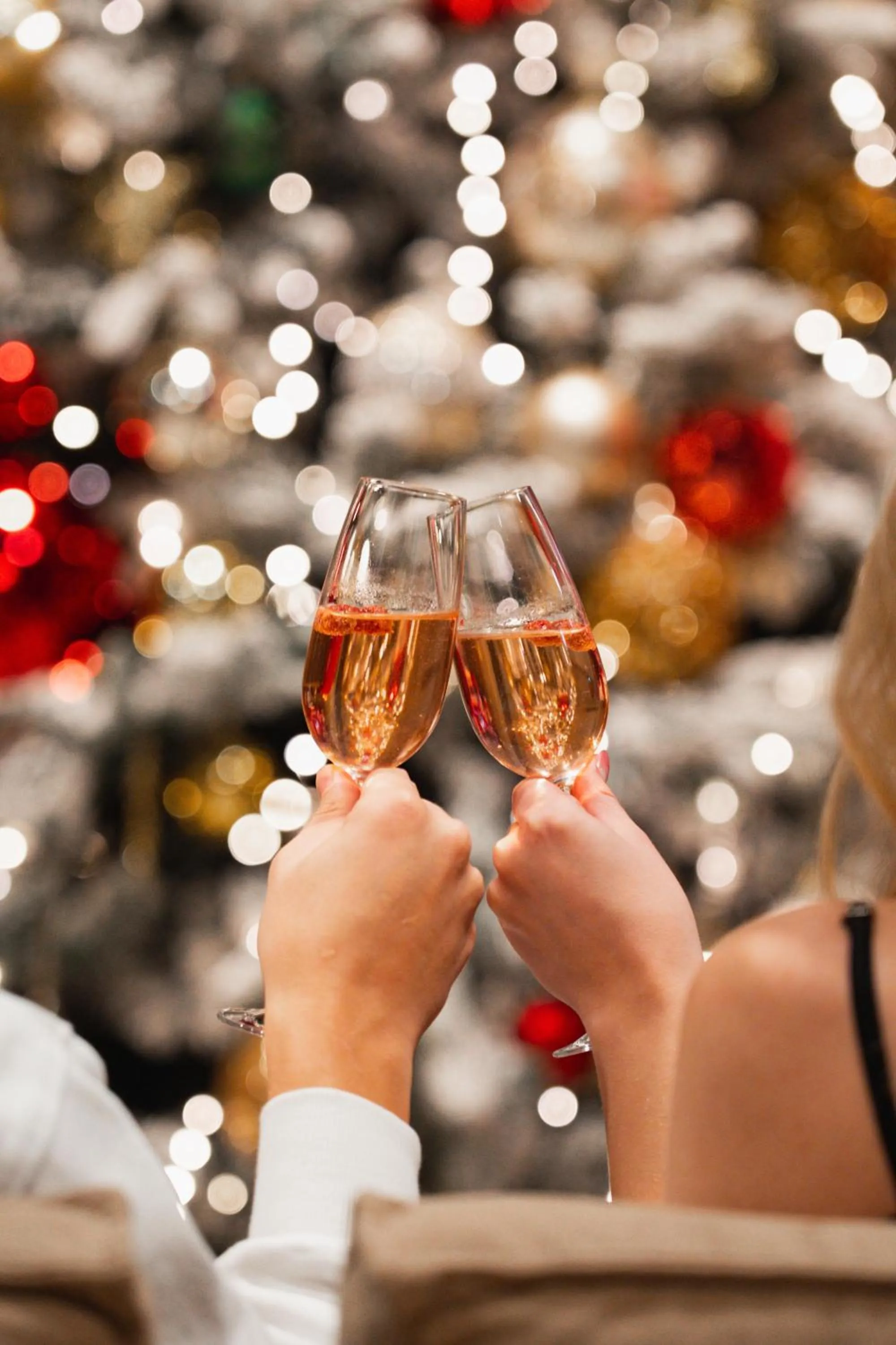 Alcoholic drinks in Hotel Lonca