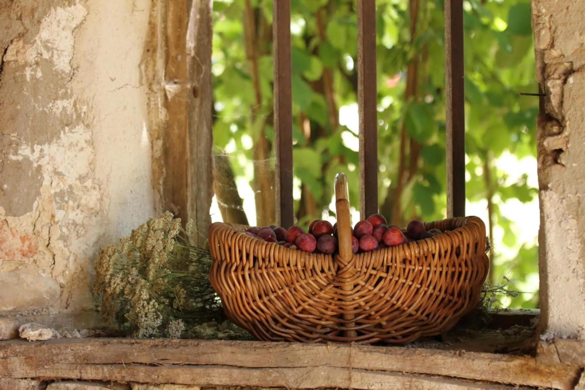 Decorative detail in La ferme de Berlioz