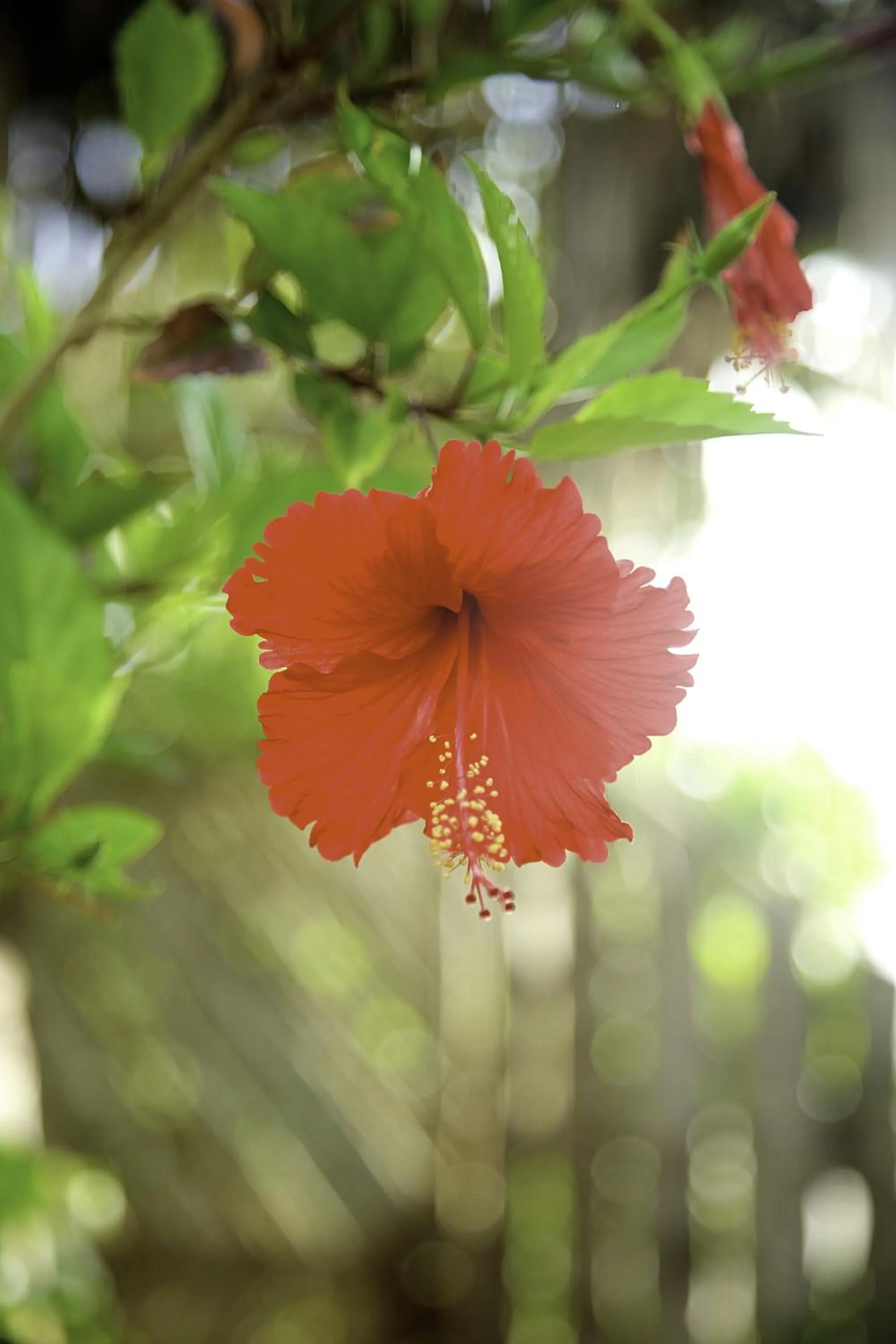 Facade/entrance in Tamani Villas