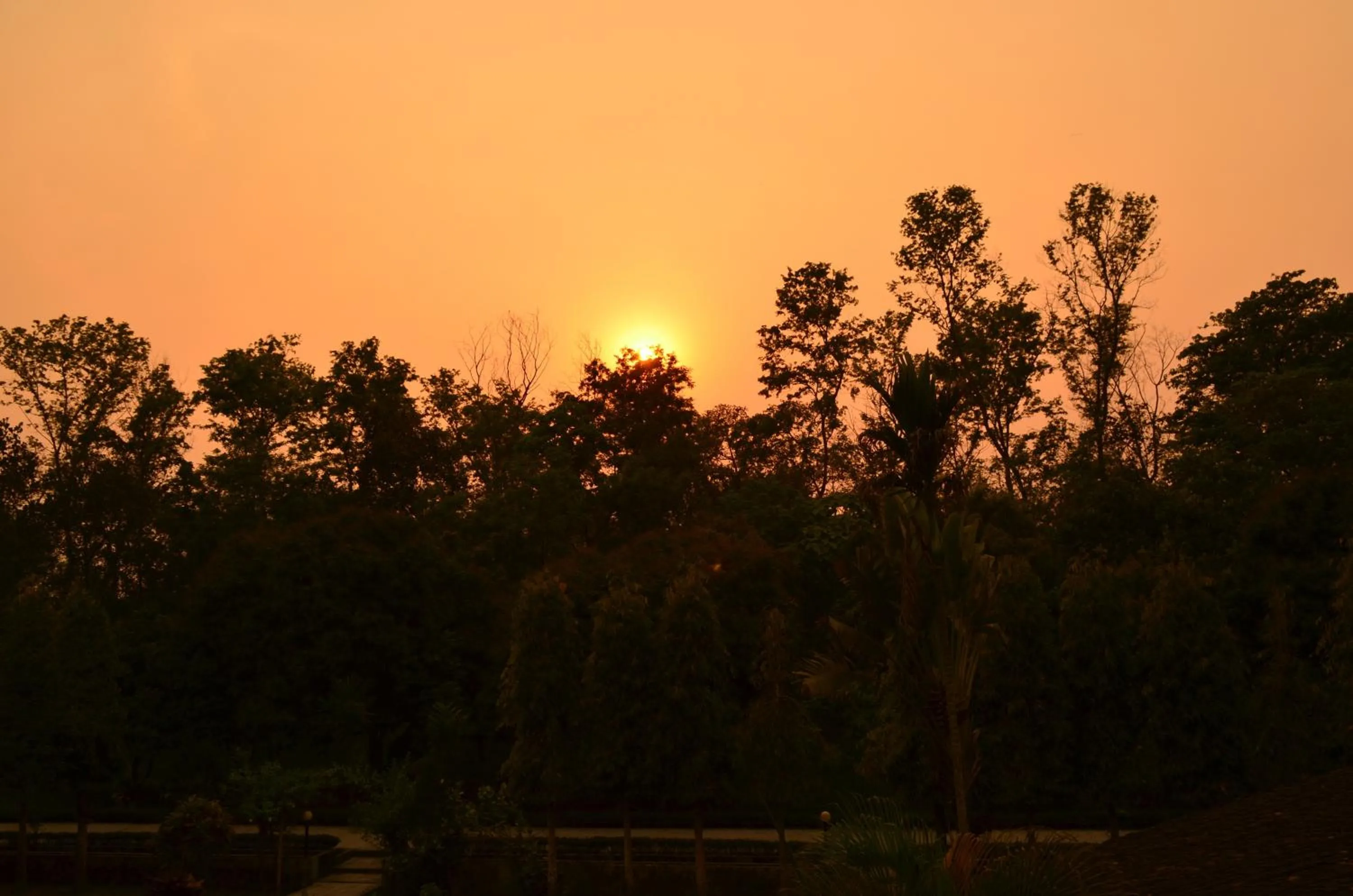 Garden in Hotel Hermitage