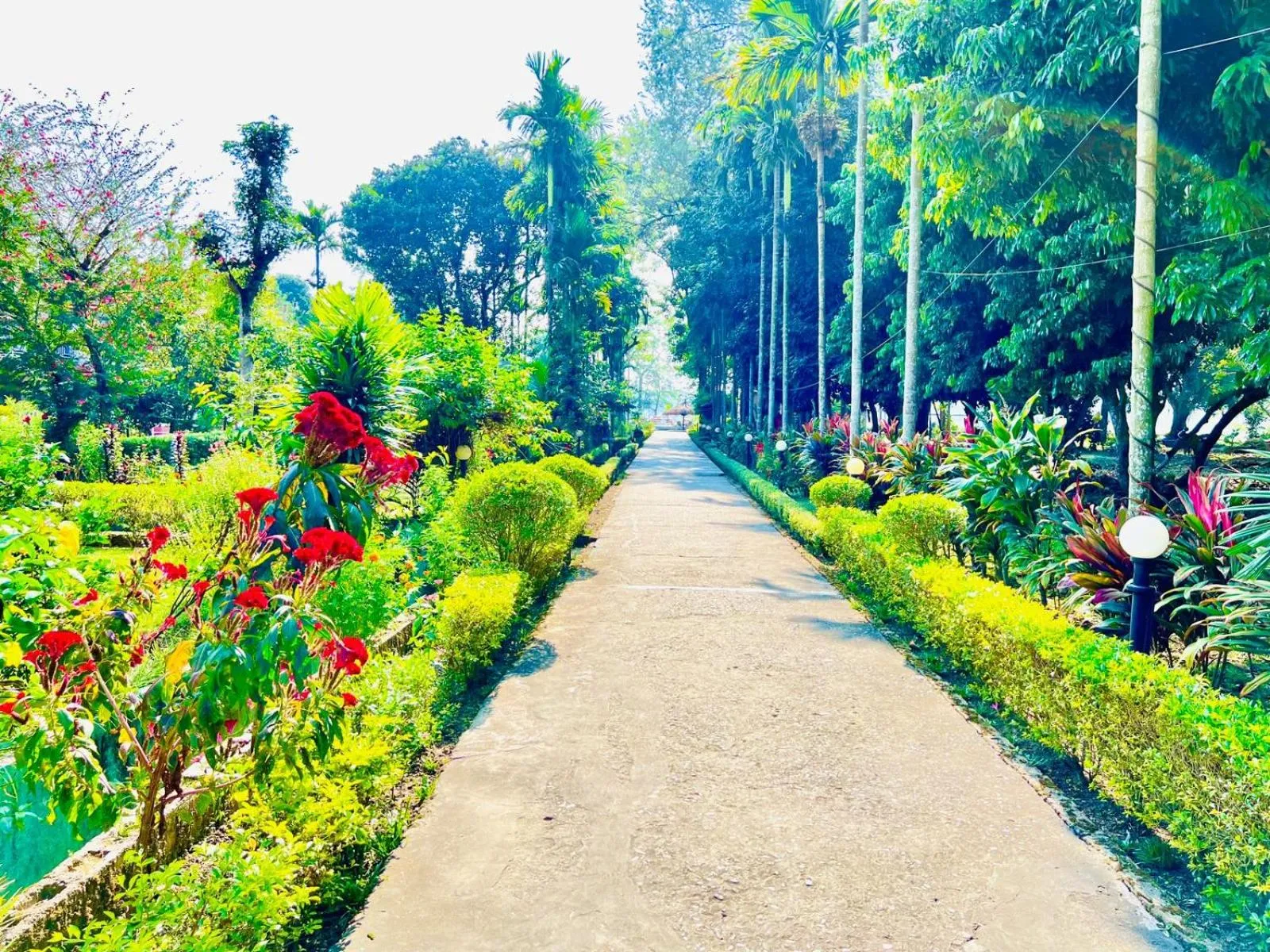 Garden in Hotel Hermitage