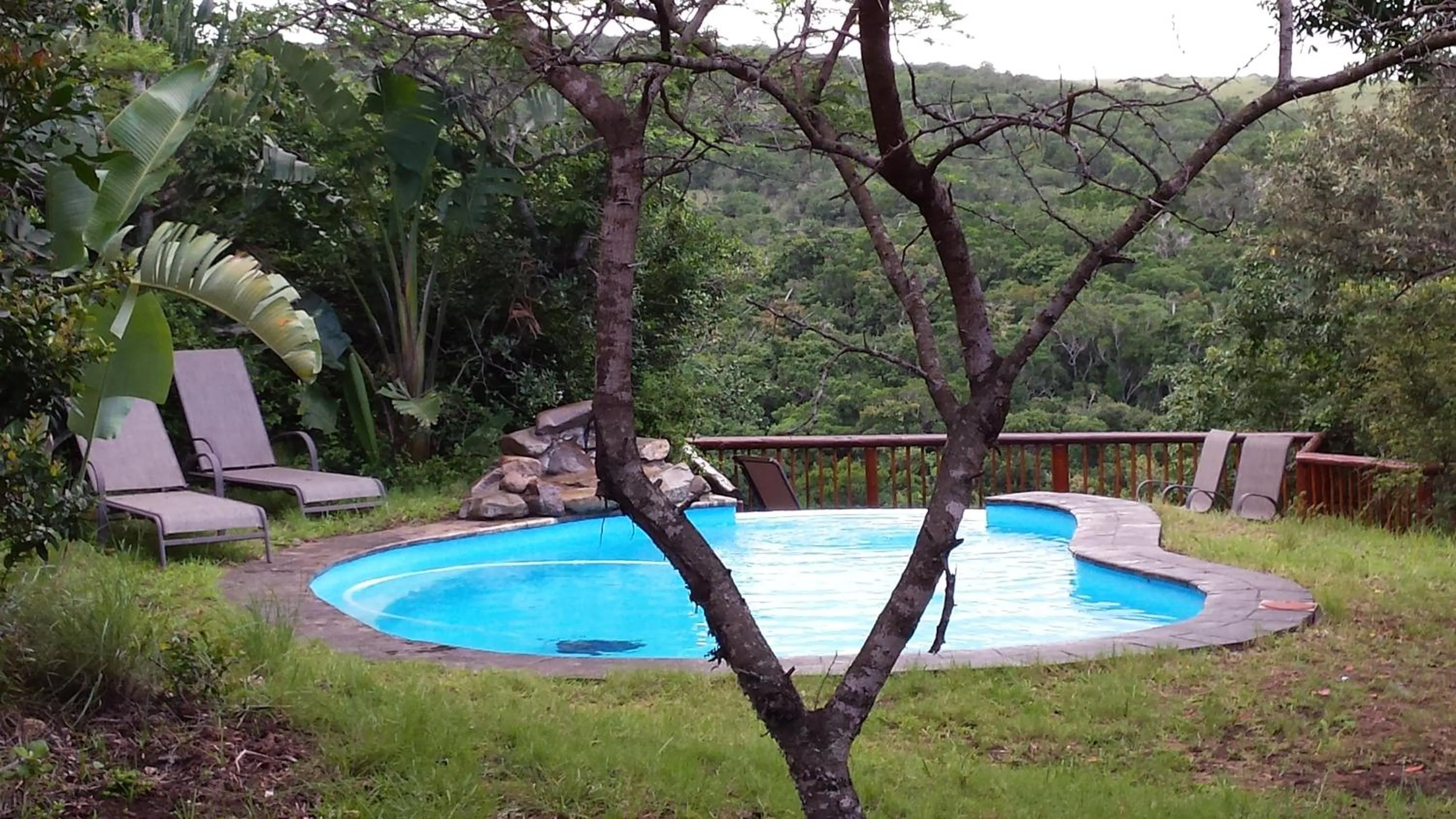 Swimming pool in Inkwenkwezi Private Game Reserve