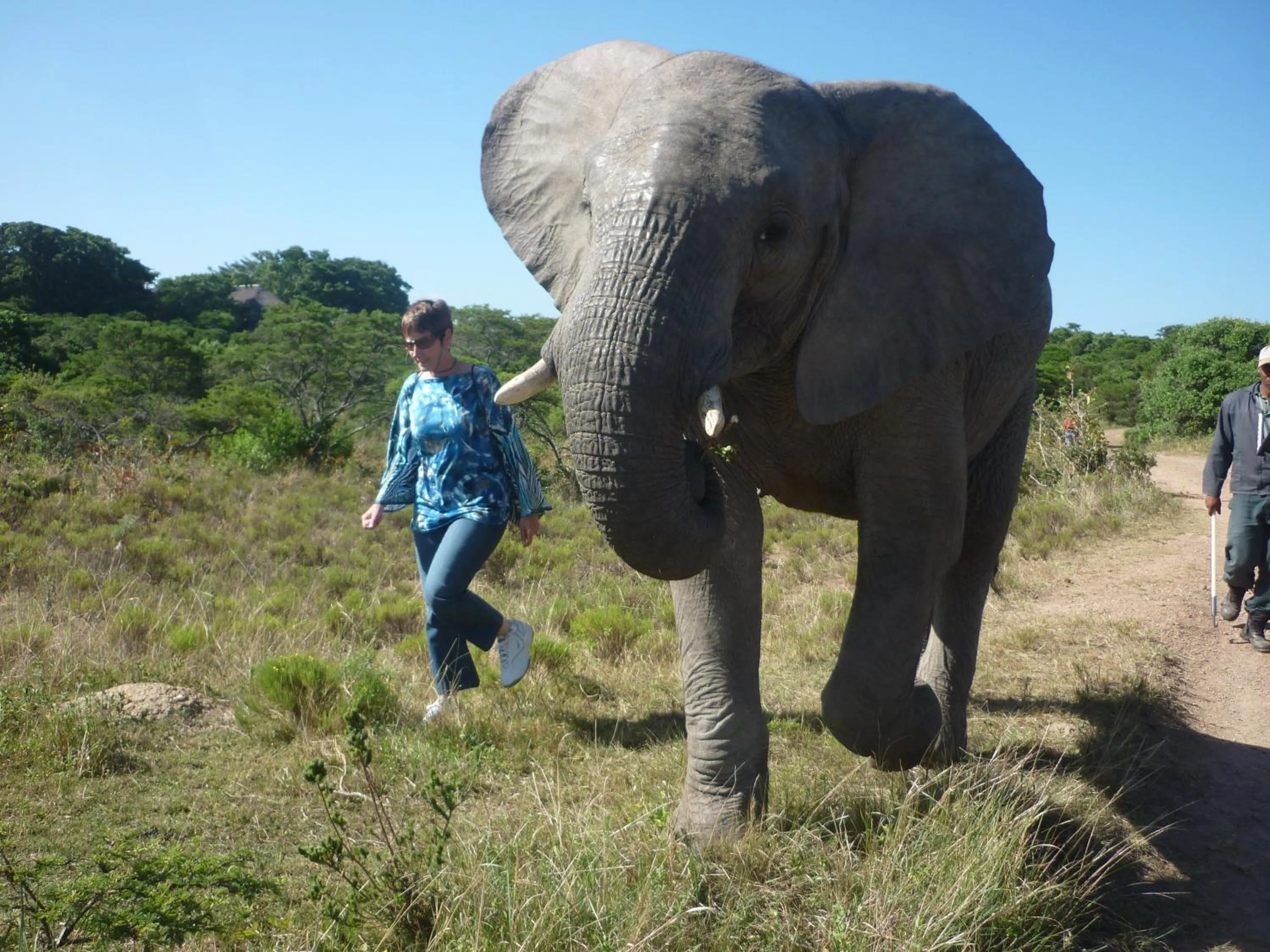 Other in Inkwenkwezi Private Game Reserve