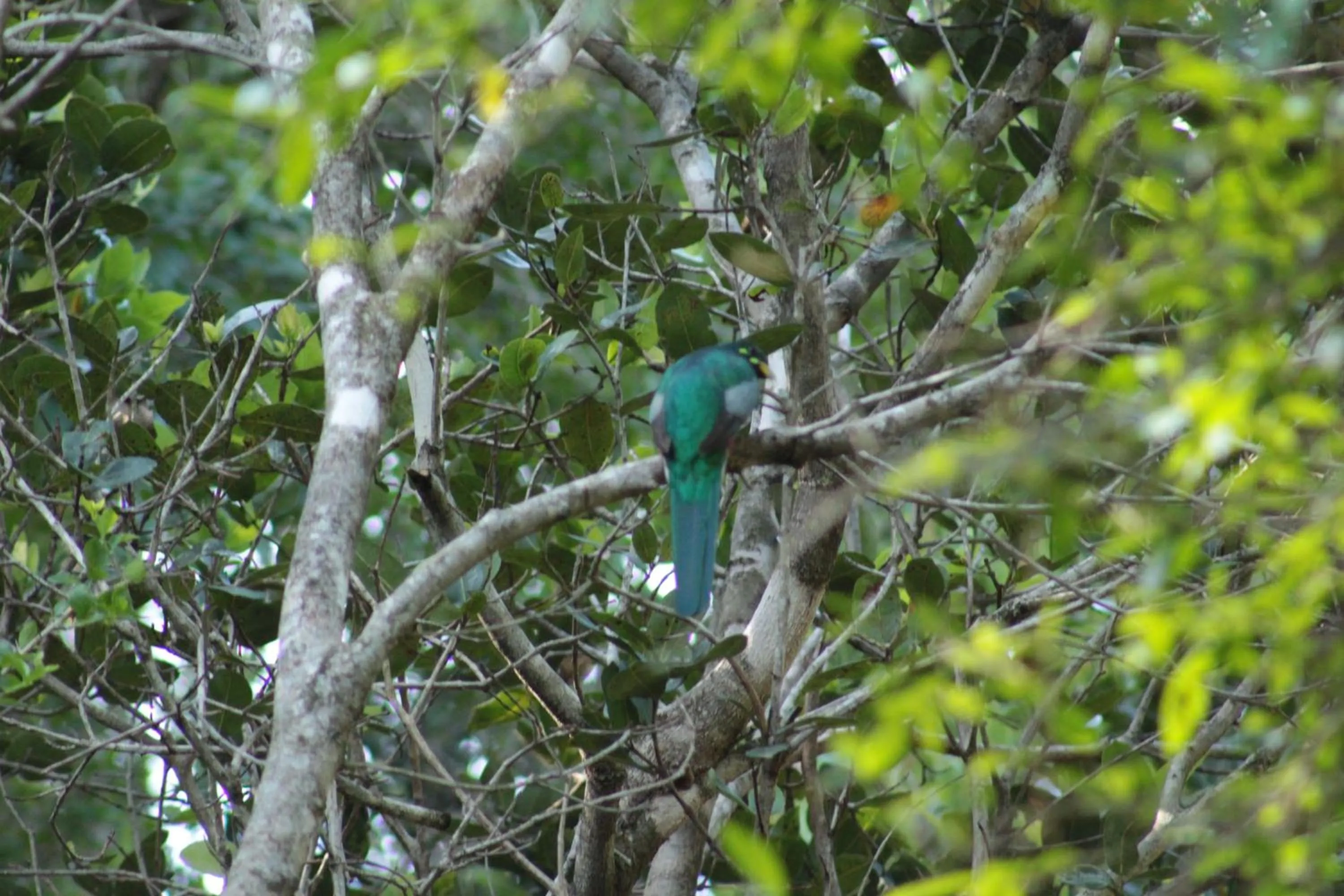 Other in Inkwenkwezi Private Game Reserve