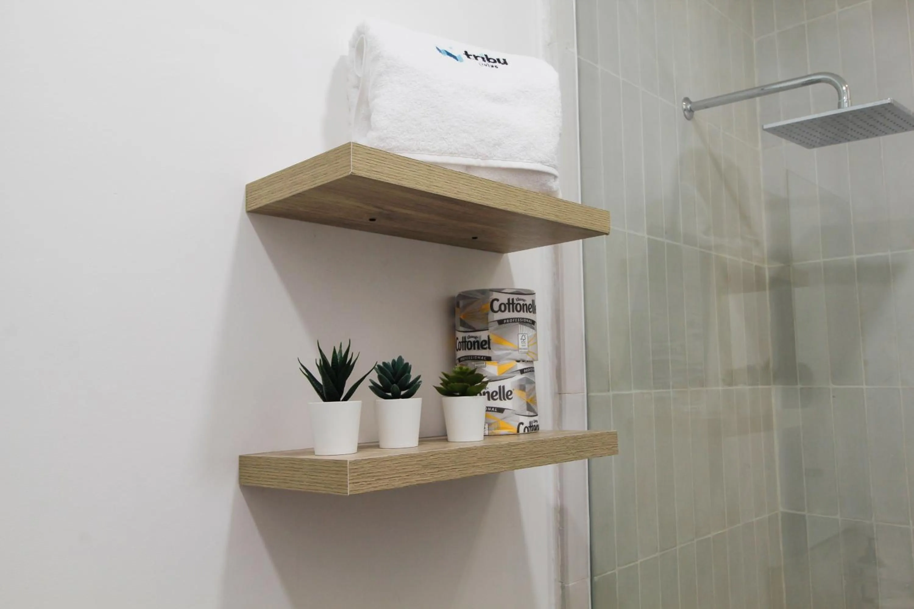 Shower in Tribu Chapultepec 67