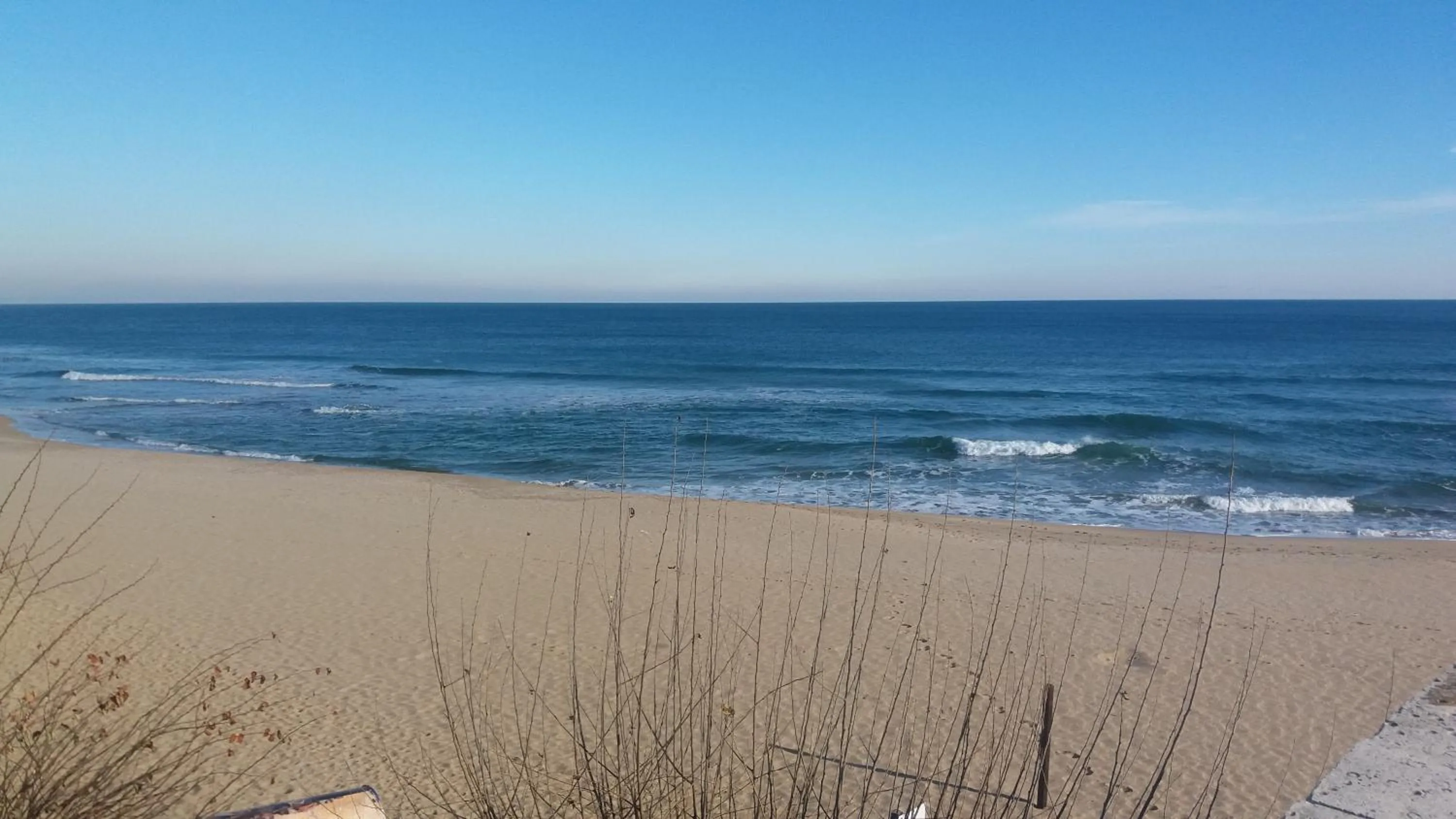 Day in ApartComplex Splendid