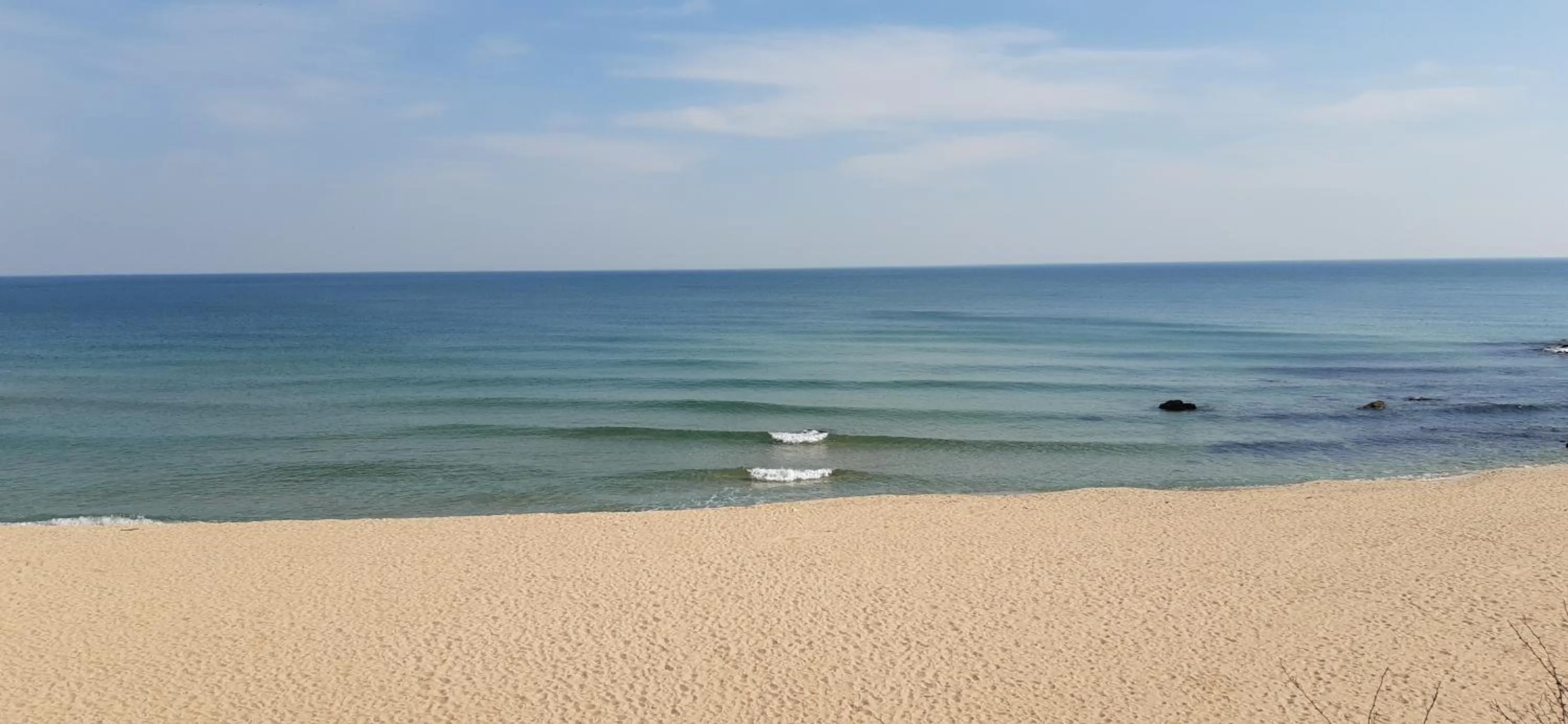 Spring in ApartComplex Splendid