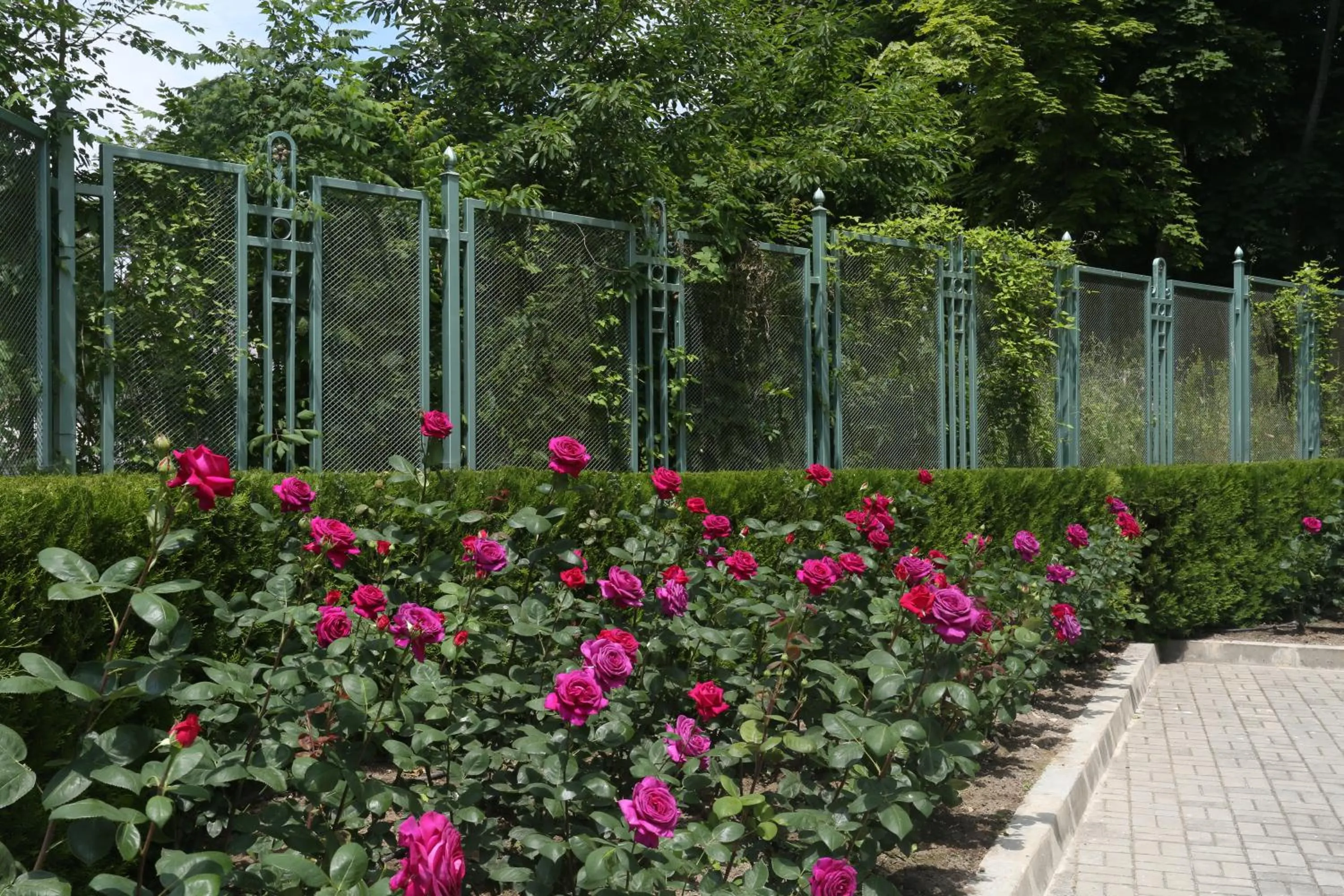 Patio in ApartComplex Splendid