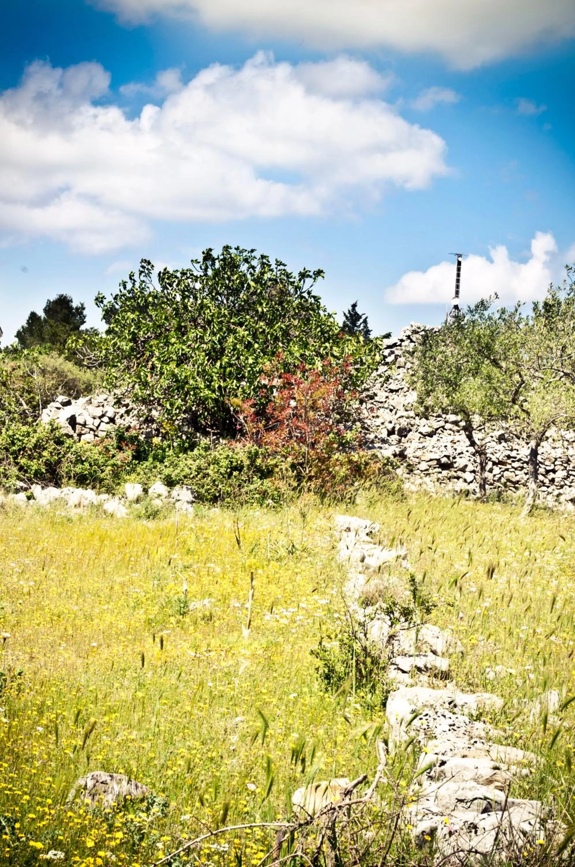 Spring in B&b Parco Alta Murgia
