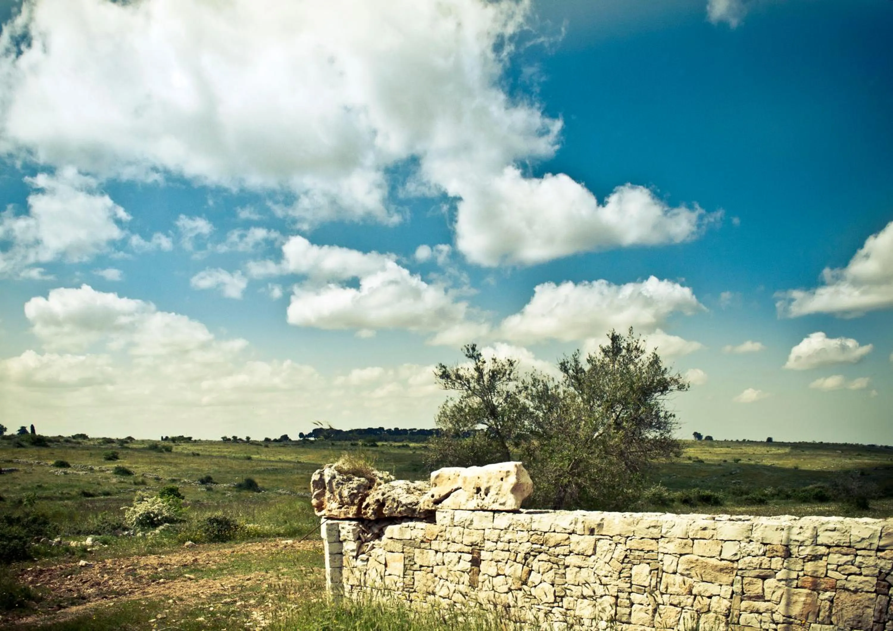 Spring in B&b Parco Alta Murgia
