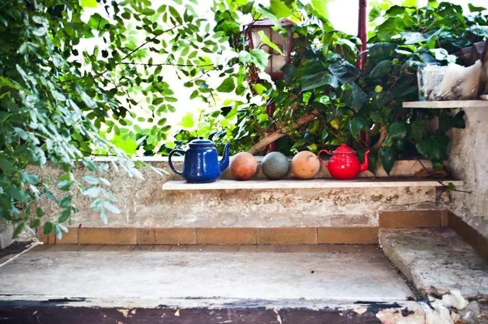 Garden in B&b Parco Alta Murgia