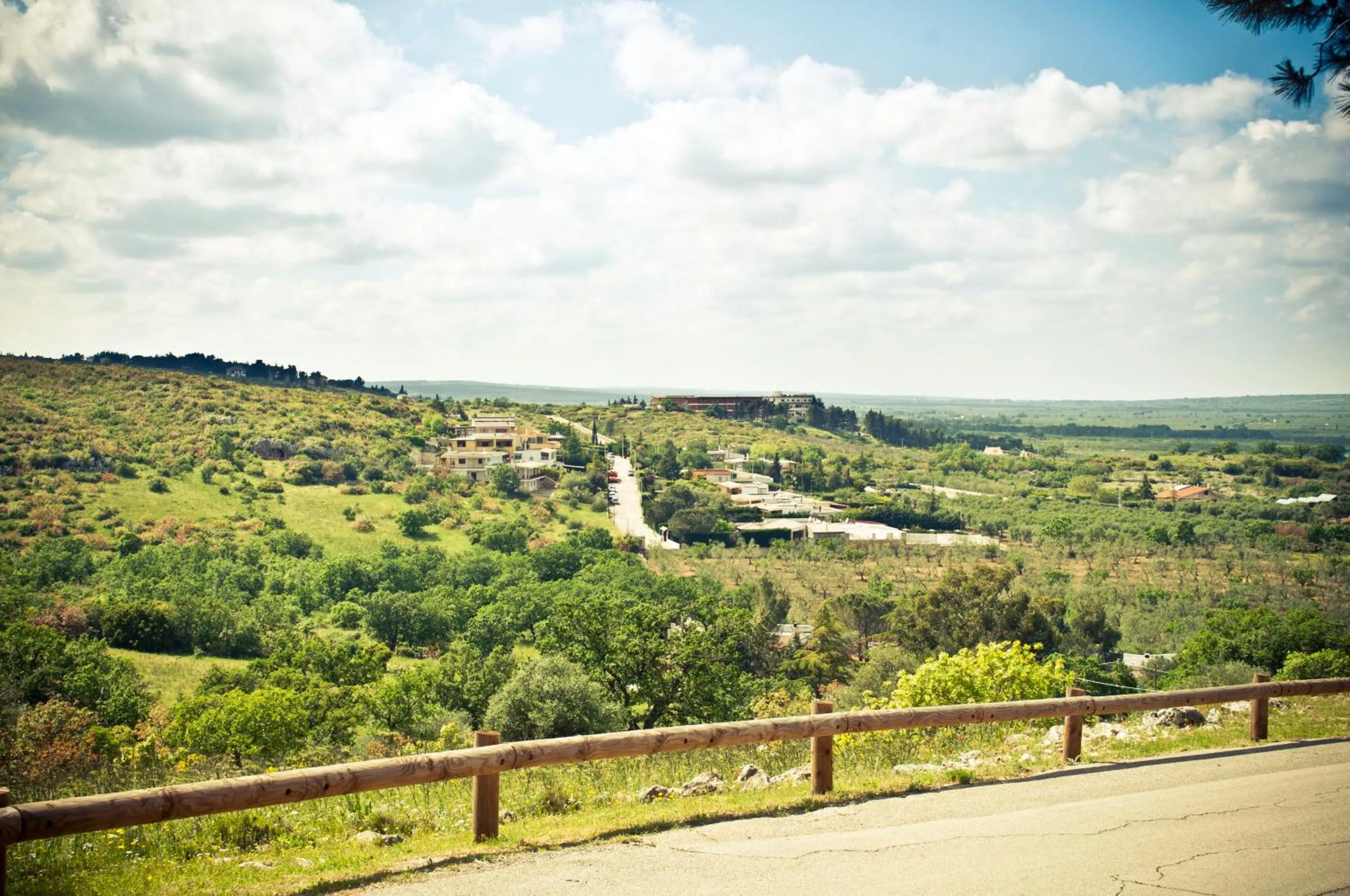 View (from property/room) in B&b Parco Alta Murgia