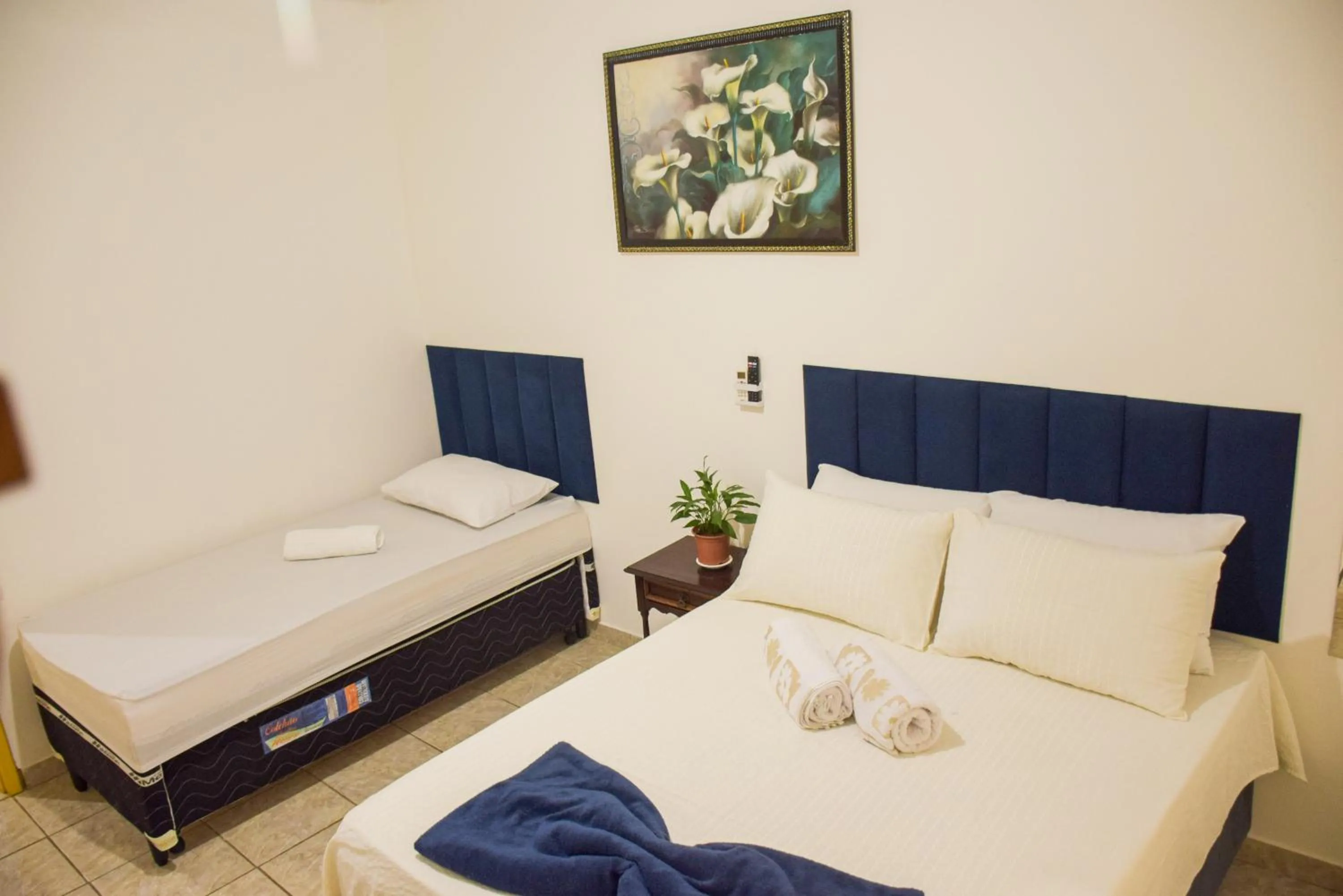 Executive Suite in Pousada Canto dos Pássaros