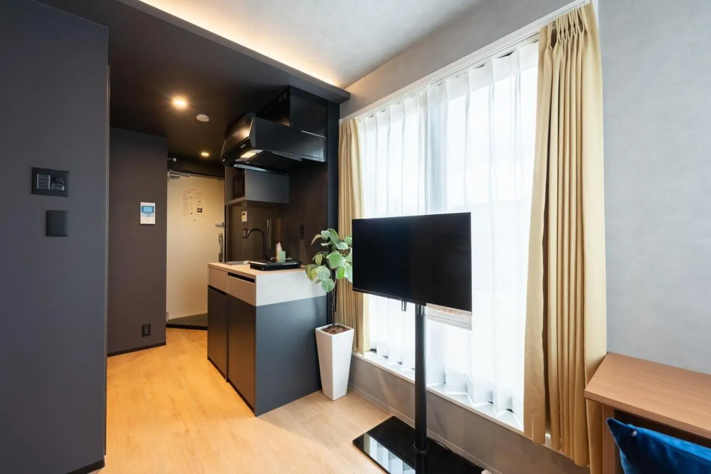 TV and multimedia in D-WASEDA